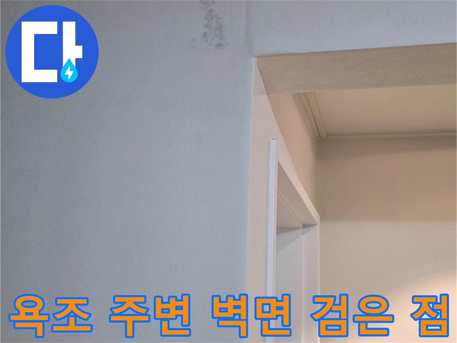 포천 일동 기산리 아파트 욕조 주변 벽면 검은 점 - 곰팡이 초기 증상 및 누수 가능성