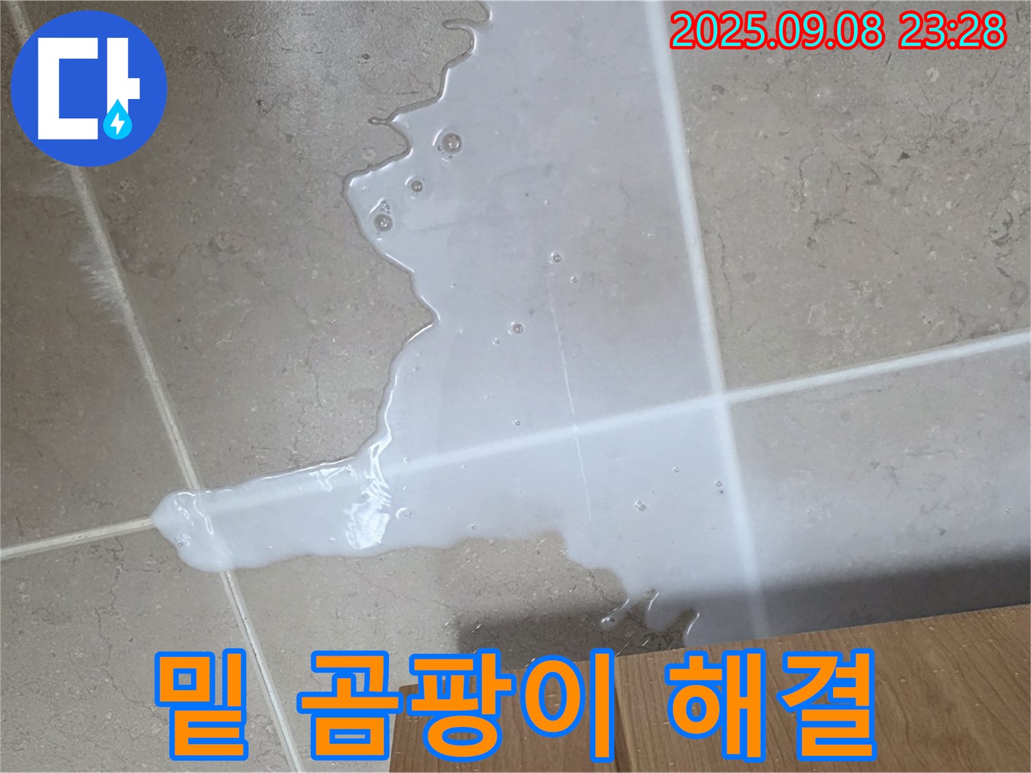 포천 일동 기산베스트빌 아파트 - 싱크대 밑 곰팡이, 누수 해결이 먼저