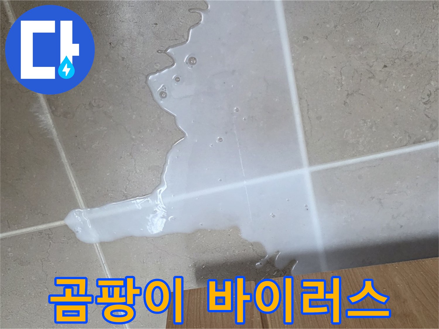 포천 일동 기산베스트빌 아파트 - 씽크대 누수로 인해 곰팡이가 무성하게 자라나는 모습 - 곰팡이 바이러스 감염?!