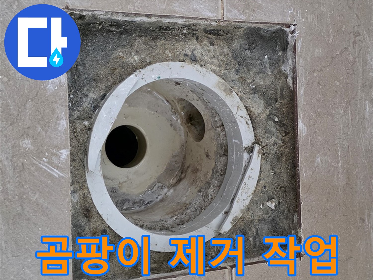포천 일동 기산베스트빌 아파트 하수구 누수 - 곰팡이 제거 작업 중
