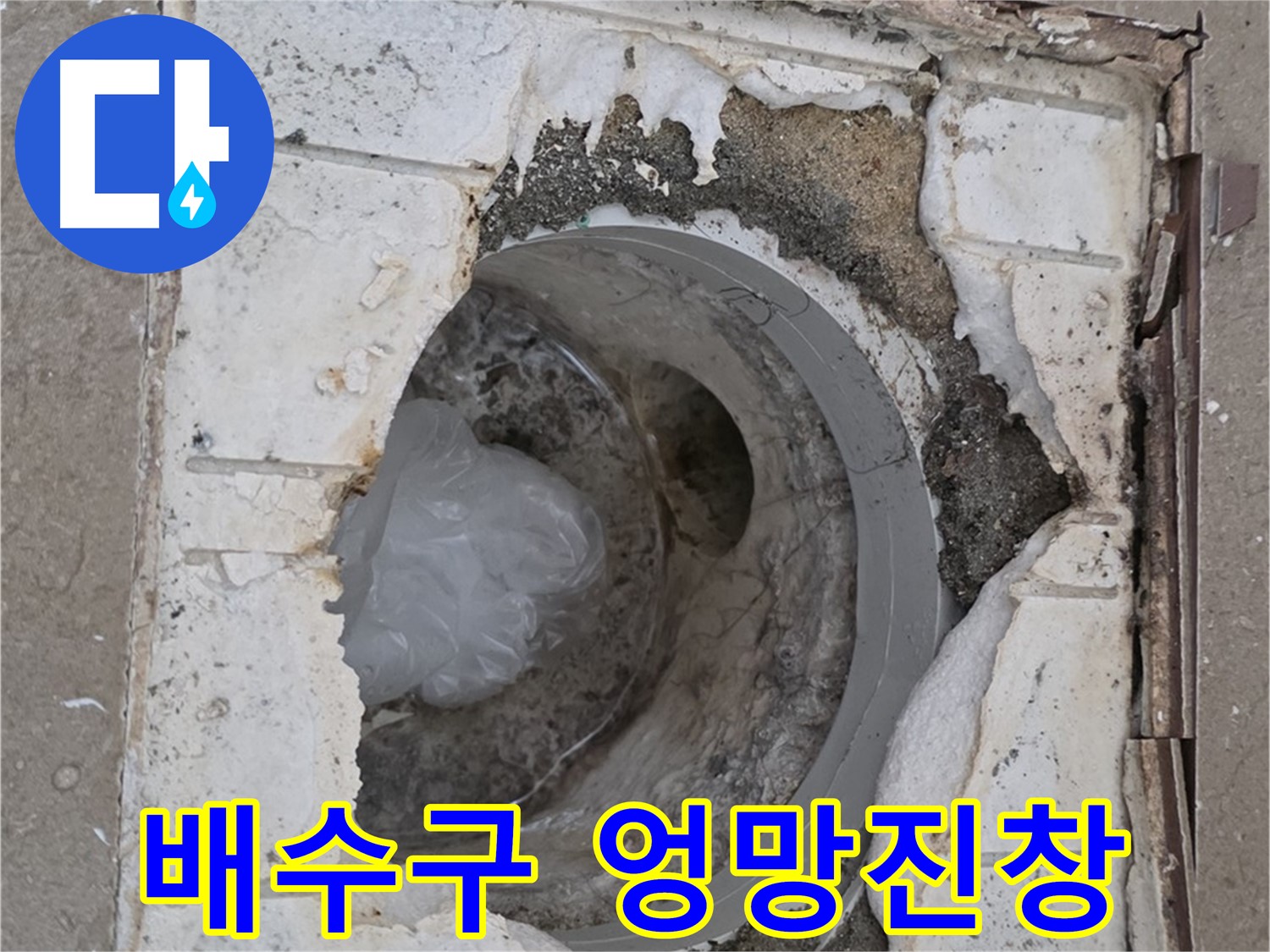 포천 일동 아파트 - 엉망진창 욕실 배수구 상태