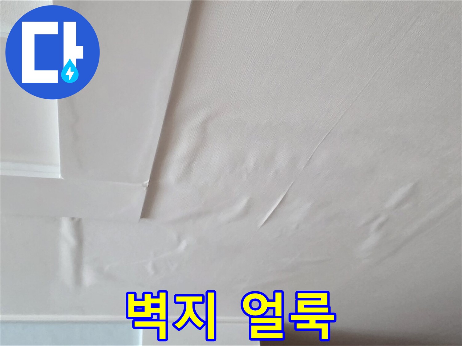 포천 일동 아파트 천장 누수 - 벽지 얼룩과 곰팡이 걱정