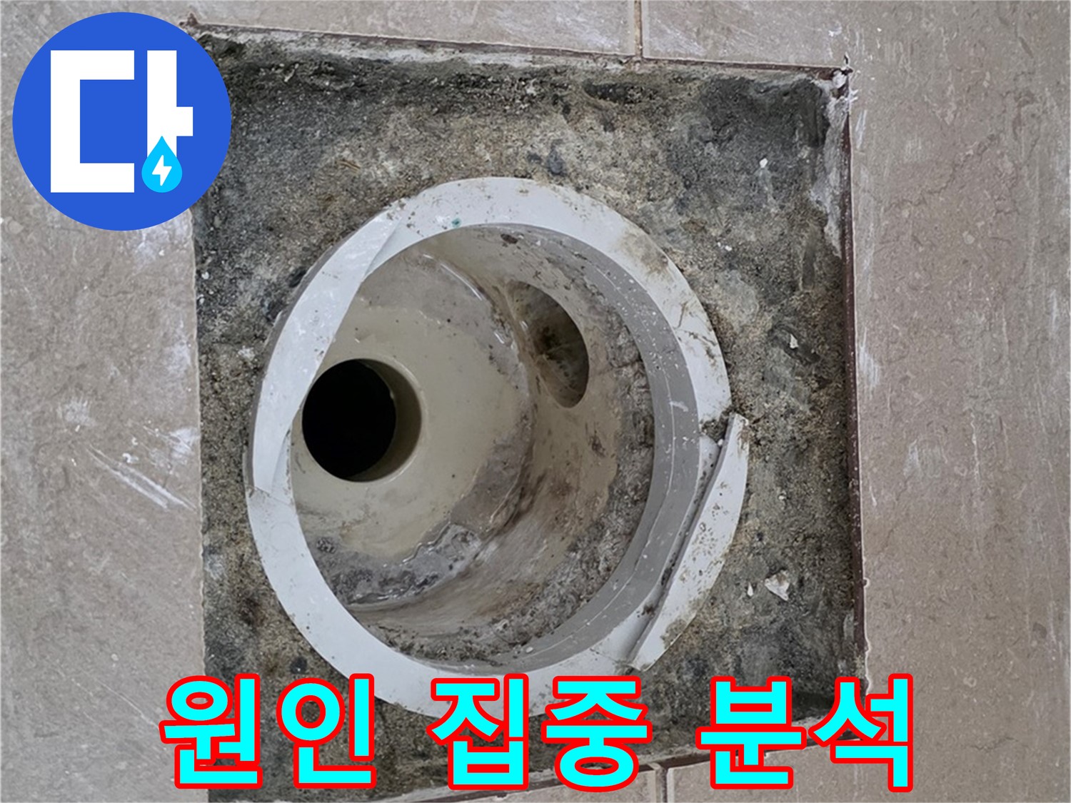 포천 일동 아파트 화장실 하수구 누수 - 배관 연결 부위 누수 원인 집중 분석