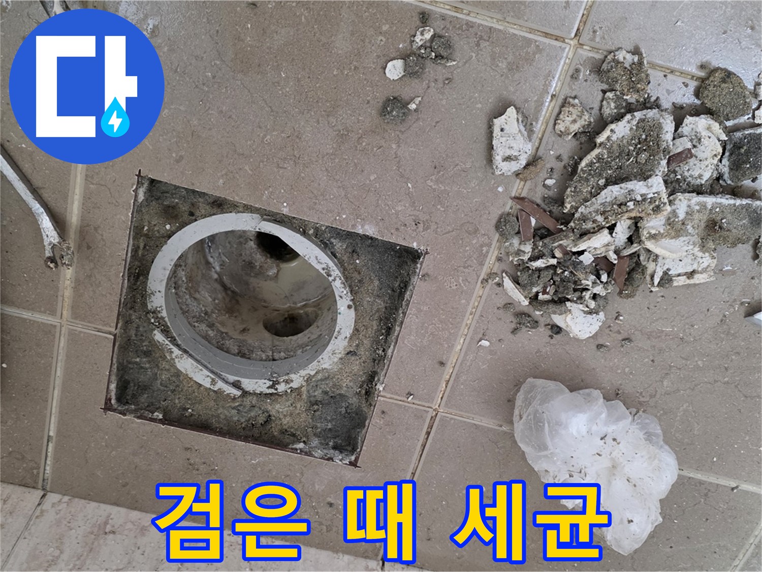 포천 일동 욕실 - 깨진 타일 틈새 검은 때, 욕실 배수구 누수와 세균의 합작일 수 있습니다!