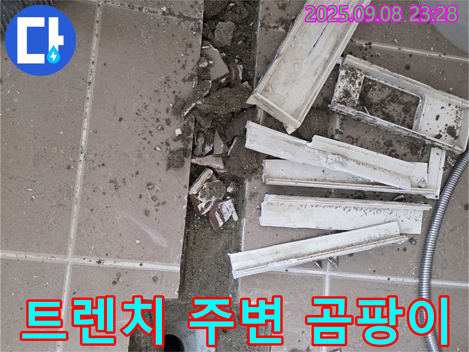포천 일동 - 트렌치 주변 곰팡이 - 기산베스트빌 아파트