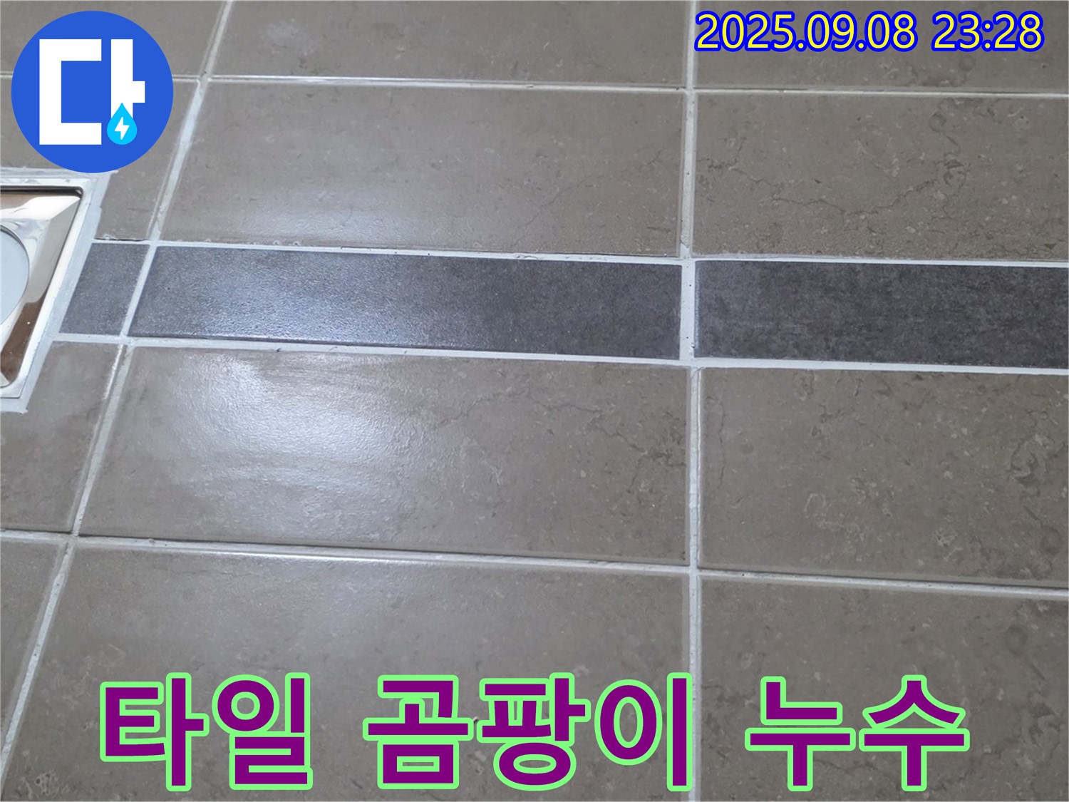 포천 일동면 - 욕실 배수구 주변 타일 틈새 곰팡이, 깨끗하게 제거 후 누수 해결!