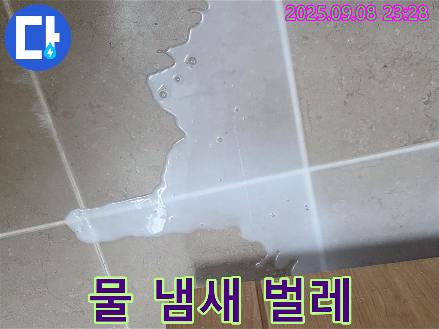 포천시 일동면 기산리 - 싱크대 물 - 냄새, 벌레 꼬임 - 위생 문제 심각