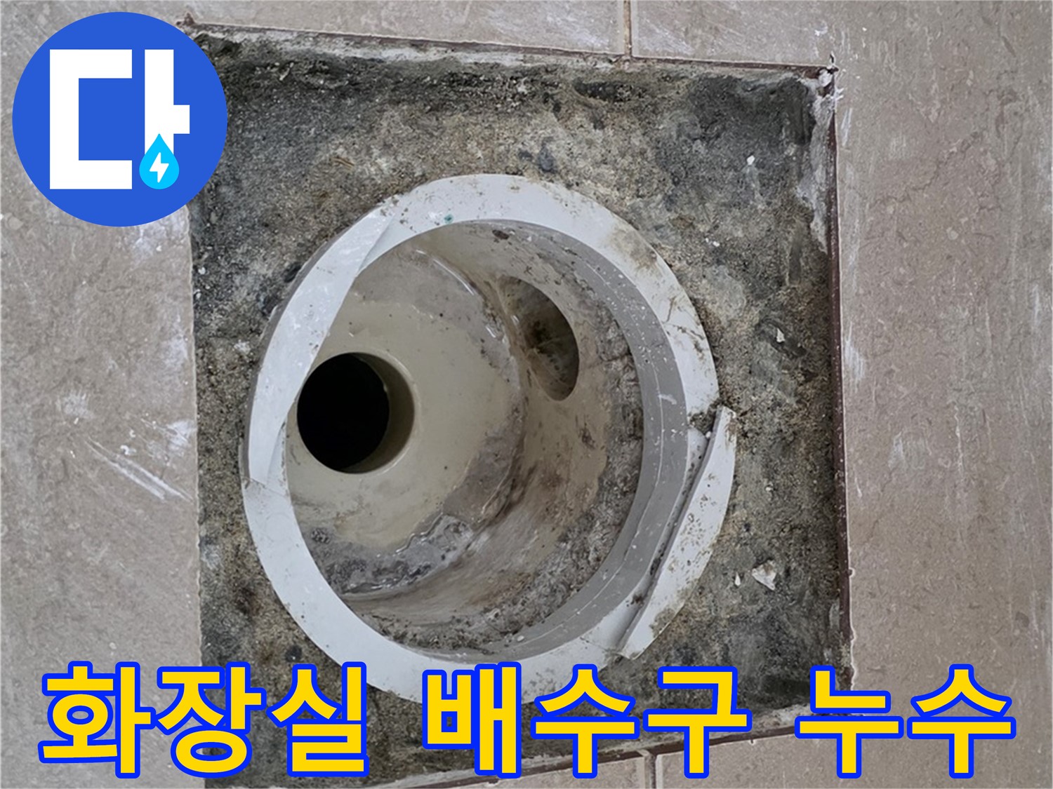 포천시 일동면 기산리 아파트 화장실 배수구 누수 - 전문적인 누수 탐지 및 해결 과정