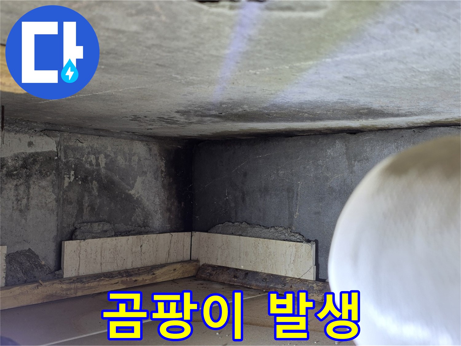 포천시 일동면 기산베스트빌 아파트 곰팡이 발생 - 건강을 위협하는 누수, 즉시 해결