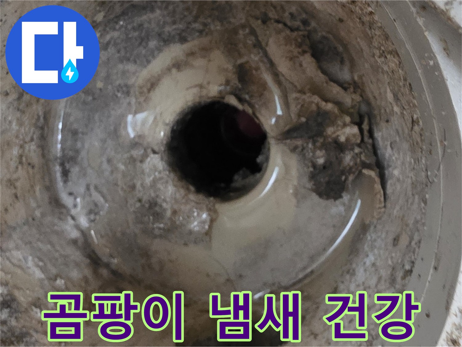 포천시 일동면 기산베스트빌 아파트 - 베란다 배수구 곰팡이 냄새, 건강에 해로울 수 있습니다!