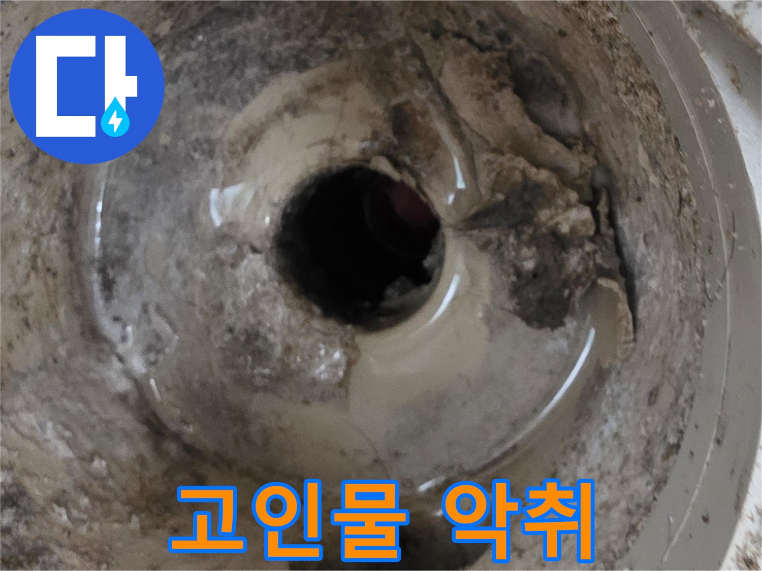 포천시 일동면 기산베스트빌 아파트 - 베란다 배수구 물 고임, 썩는 냄새, 누수 가능성 진단!