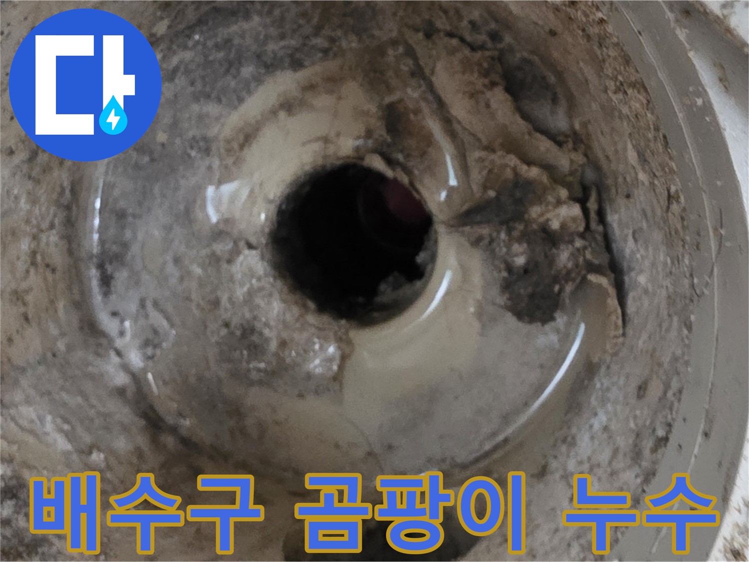 포천시 일동면 기산베스트빌 아파트 - 베란다 배수구 주변 곰팡이 발생, 누수 가능성 진단