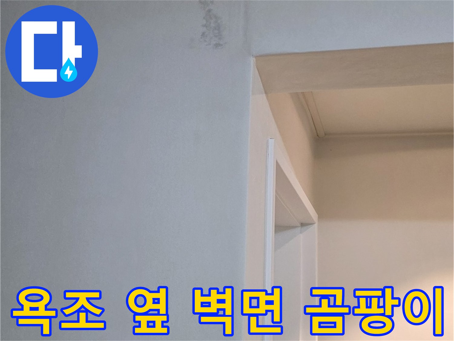 포천시 일동면 기산베스트빌 아파트 욕조 옆 벽면 곰팡이 - 건강 위협 및 곰팡이 제거