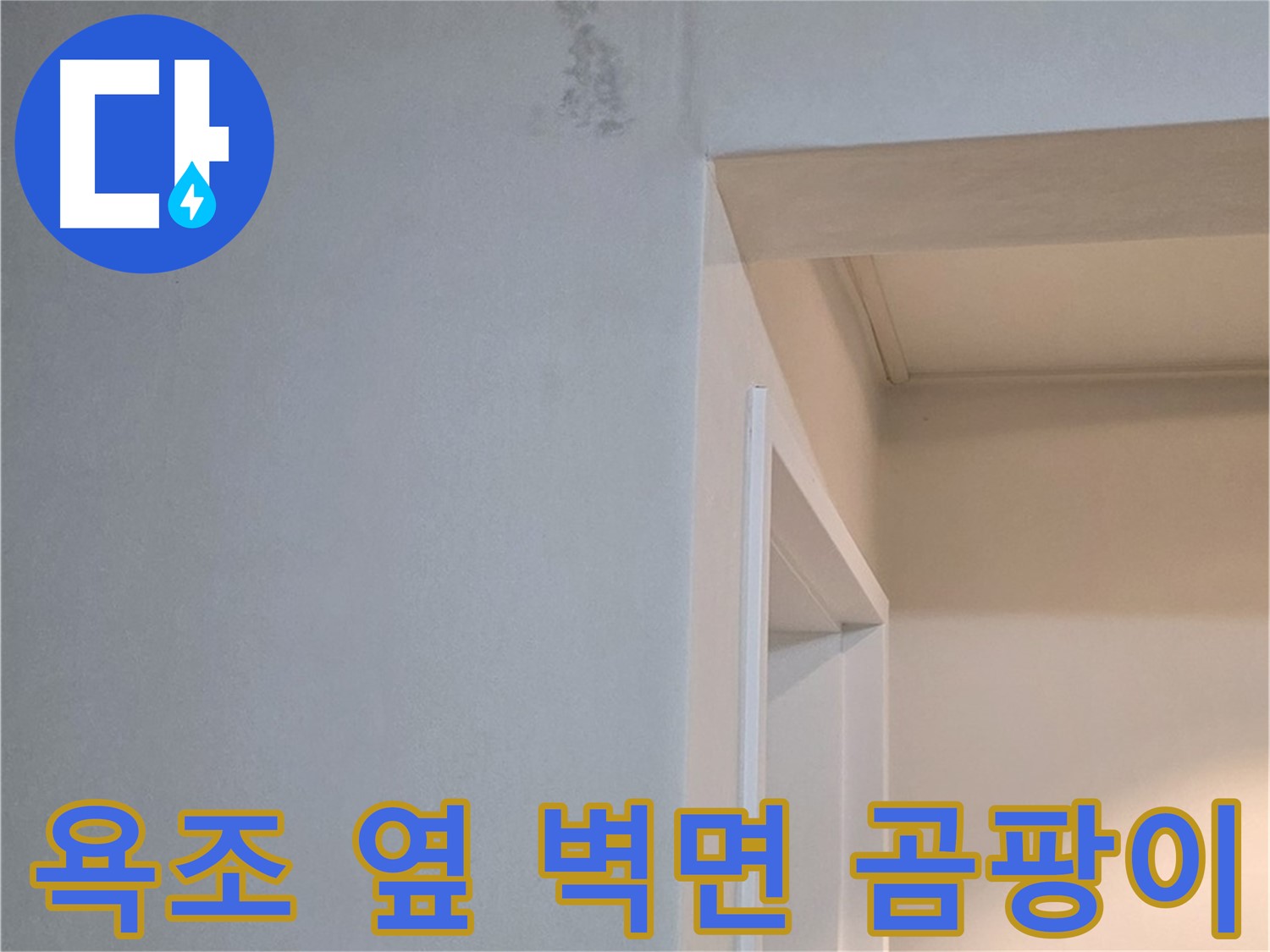 포천시 일동면 기산베스트빌 아파트 욕조 옆 벽면 곰팡이 - 곰팡이 박멸 전문