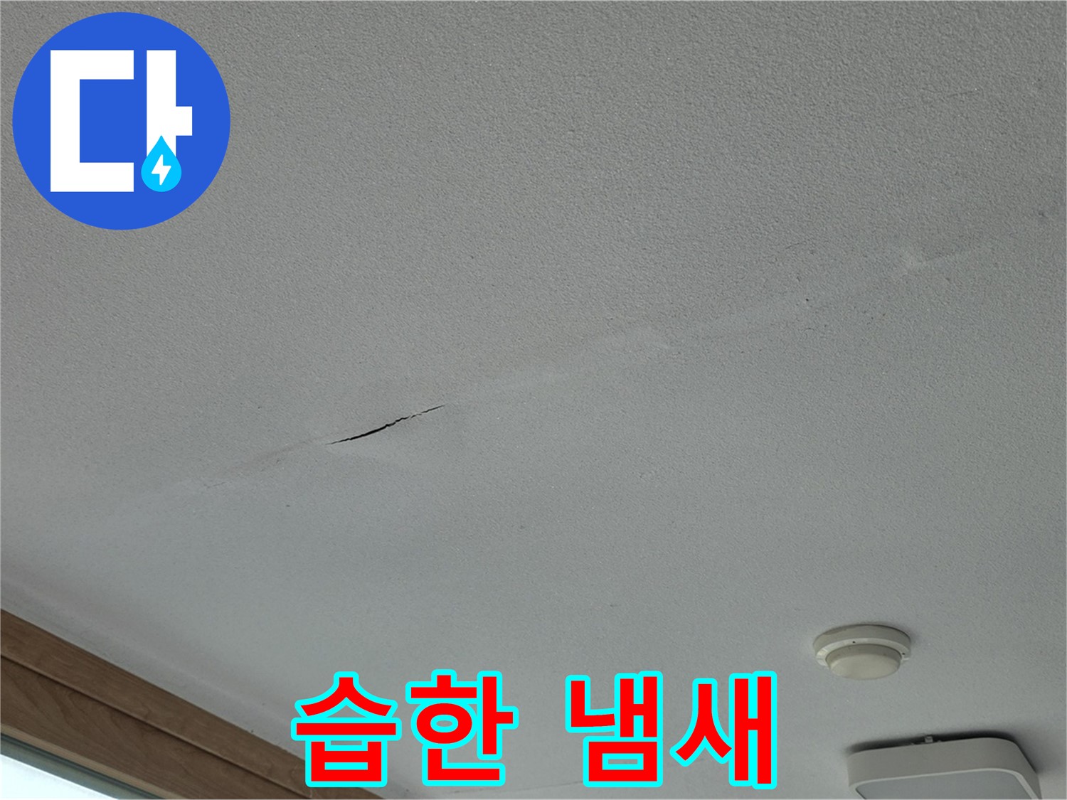 포천시 일동면 아파트 - 불쾌한 습한 냄새