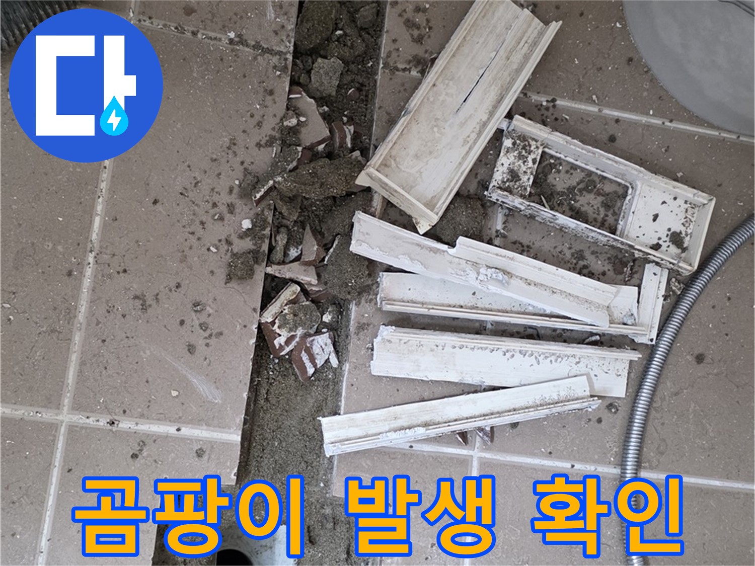 포천시 트랜치 철거 후 배수구 주변 곰팡이 발생 여부 꼼꼼하게 확인