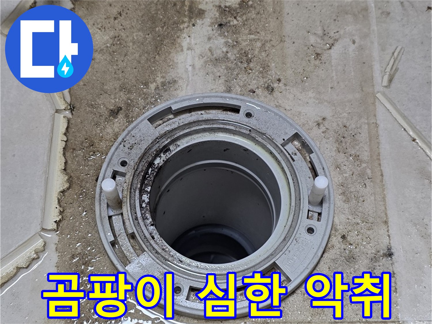 변기 플랜지 주변 - 곰팡이가 심하게 발생하여 악취가 납니다.
