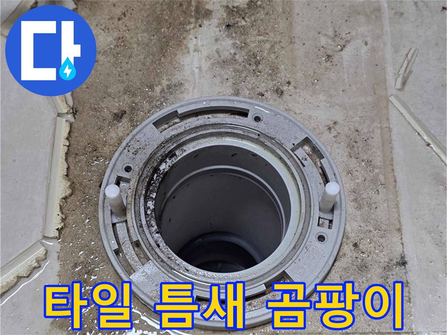 변기 플랜지 주변 타일 틈새 - 오염과 곰팡이가 심각합니다.