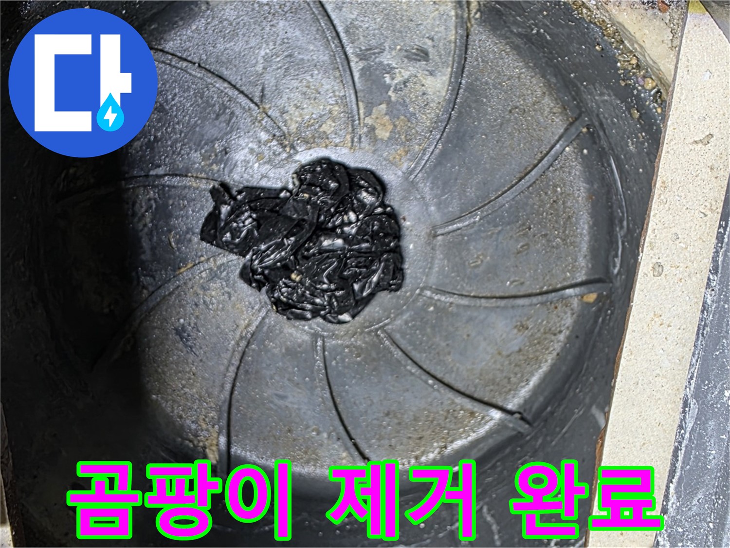세탁기 배수구 - 곰팡이 찌꺼기 완벽 제거!
