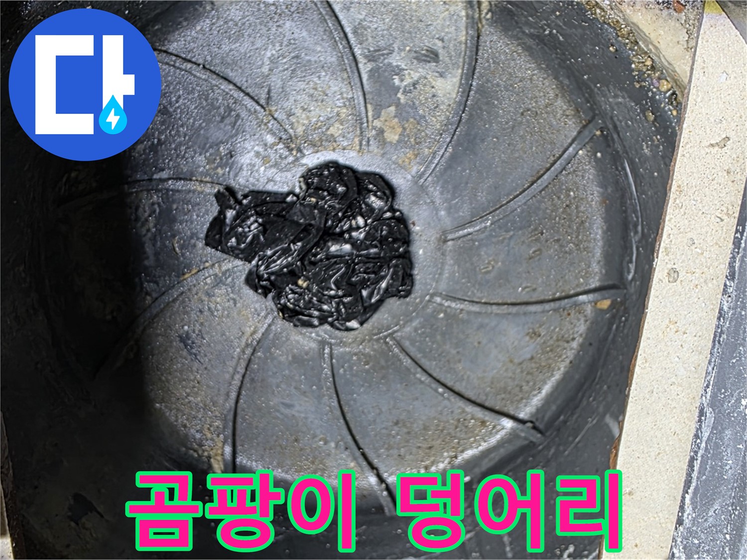 세탁기 배수구 - 혐오스러운 곰팡이 덩어리 발견!