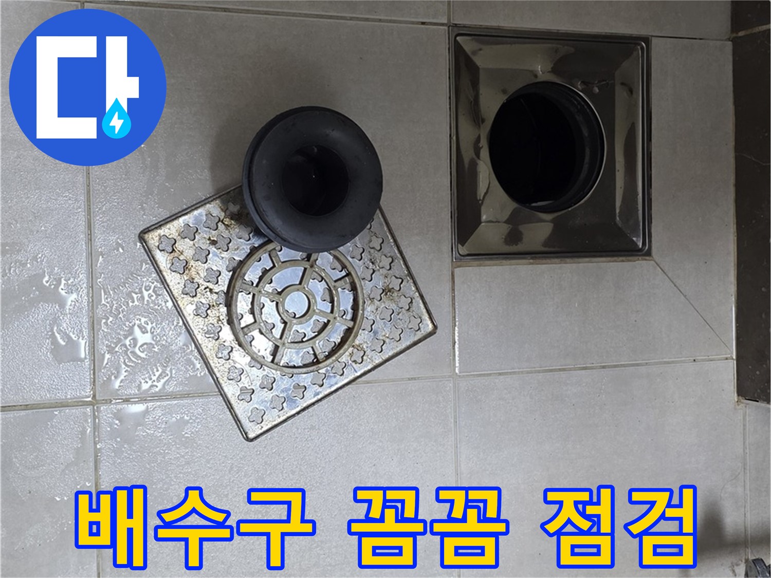양주 고암동 율정마을 아파트 욕실 배수구 꼼꼼 점검 - 누수 해결의 첫걸음
