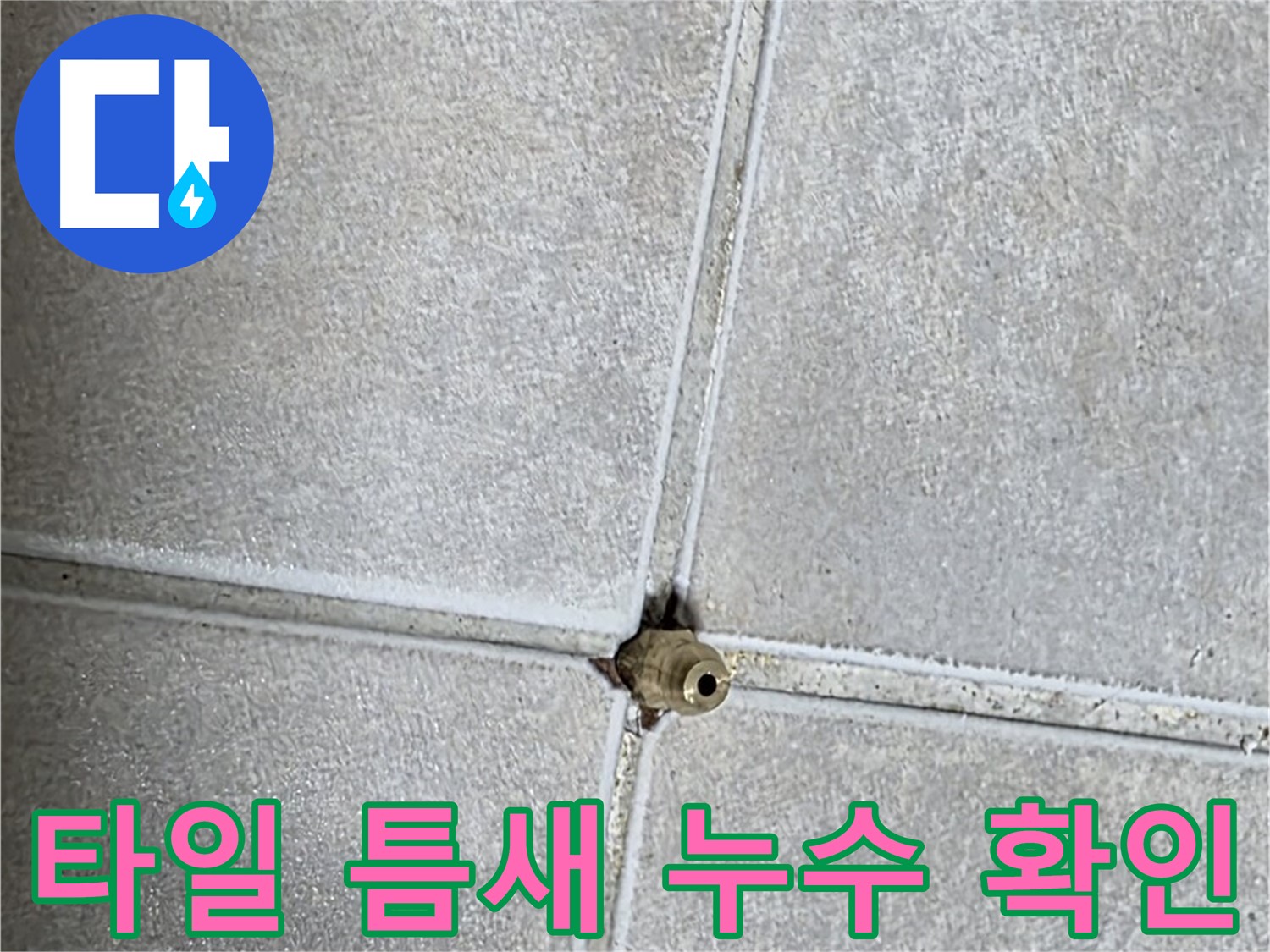양주 옥정 율정마을 아파트에서 발생한 타일 틈새 누수 - 누수탐지 전문가가 정확하게 진단하고 해결합니다.