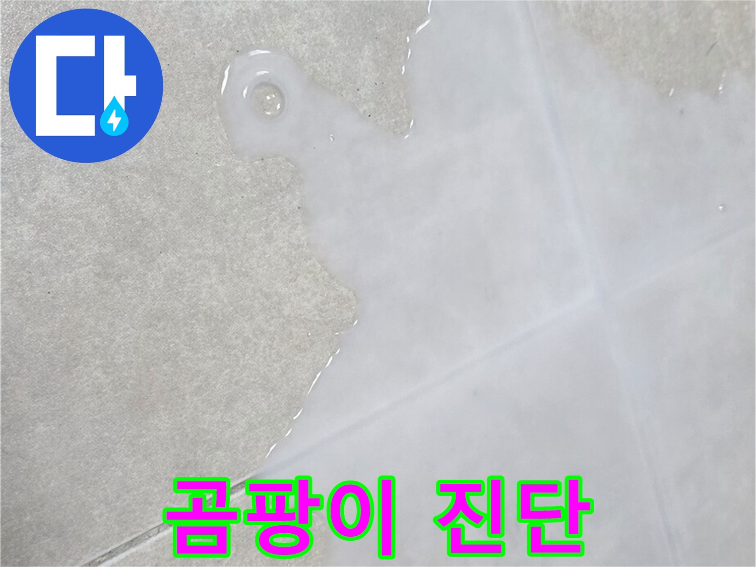 양주 옥정 율정마을13단지 아파트 타일 틈새 백시멘트 곰팡이 - 누수 전문가 진단