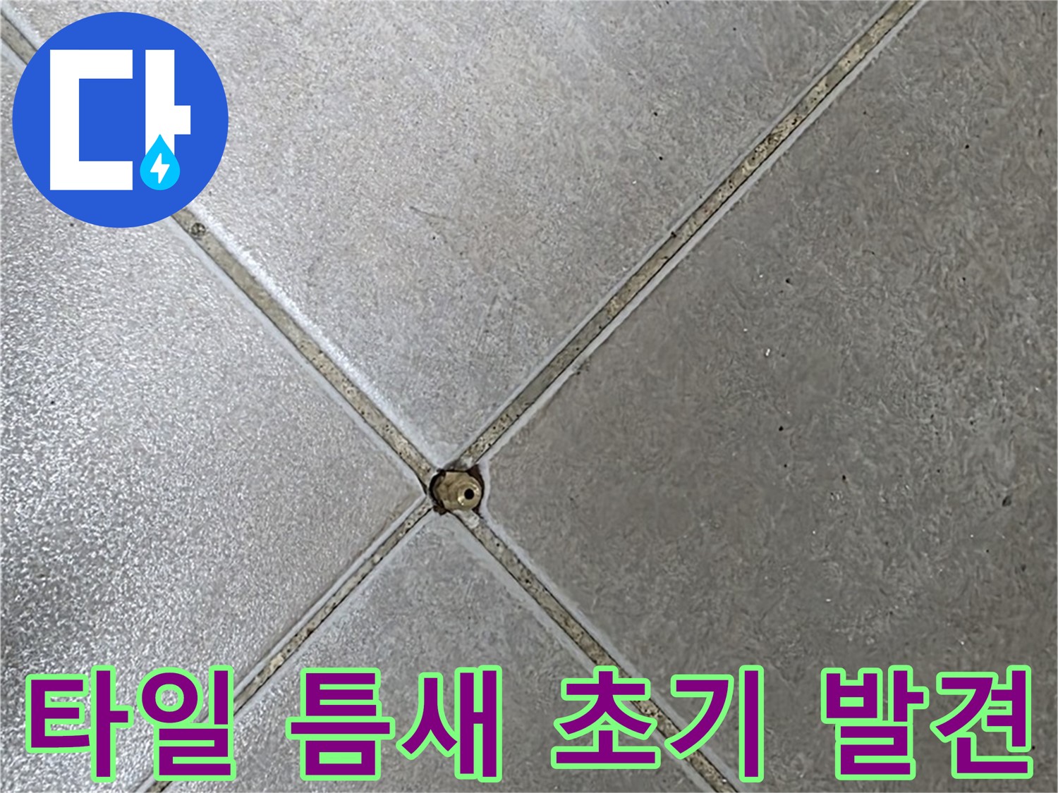 양주 옥정동 율정마을 13단지 아파트 타일 틈새 오염 - 초기 발견 사진입니다.