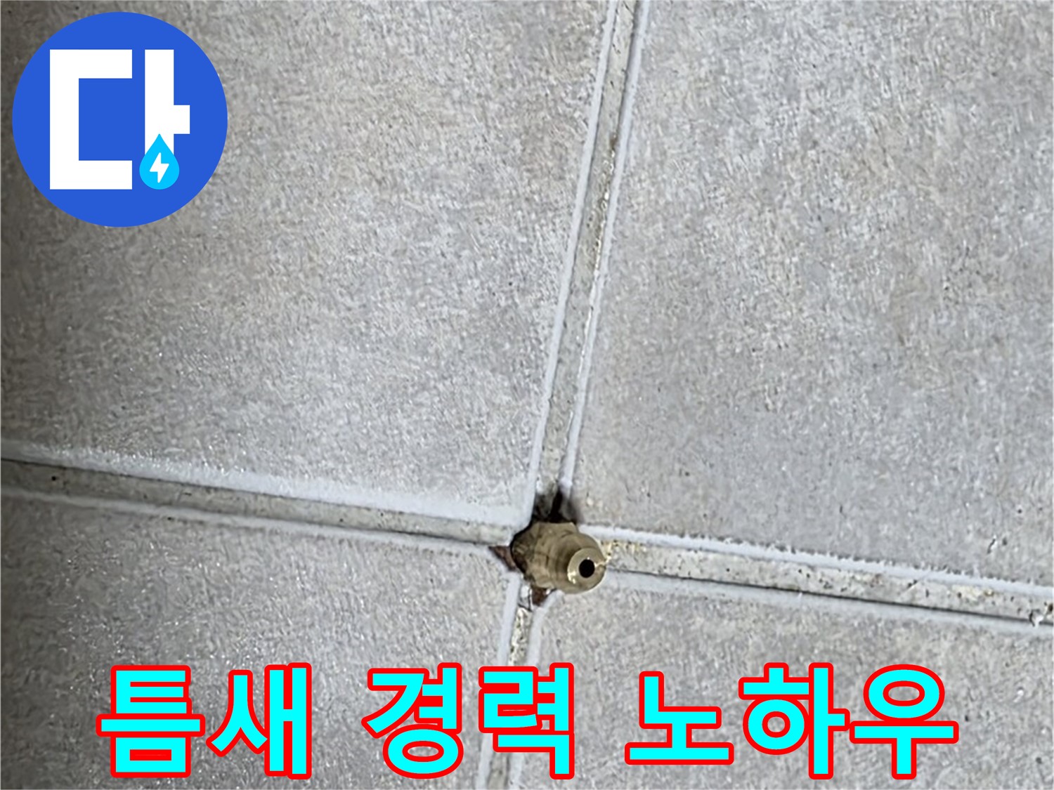 양주 옥정동 율정마을 아파트 누수 - 타일 틈새 누수, 20년 경력 베테랑의 노하우를 공개합니다!
