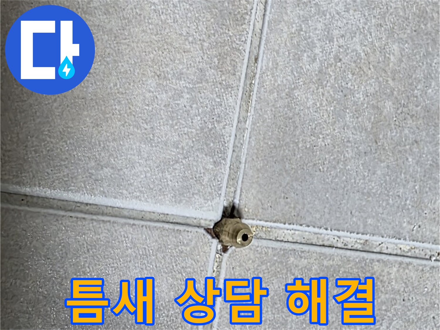 양주 옥정동 율정마을 아파트 누수 - 타일 틈새 누수, 전문가와 상담하고 속 시원하게 해결하세요!