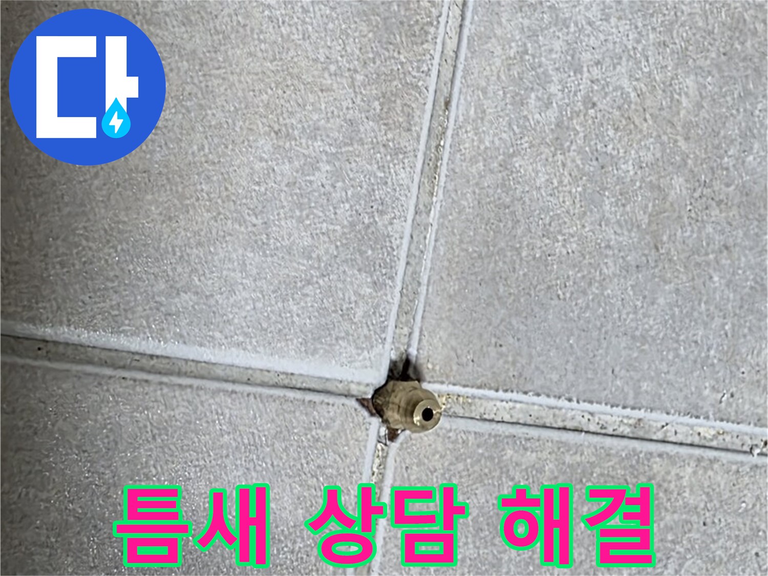 양주 옥정동 율정마을 아파트 누수 - 타일 틈새 누수, 전문가와 상담하고 속 시원하게 해결하세요!