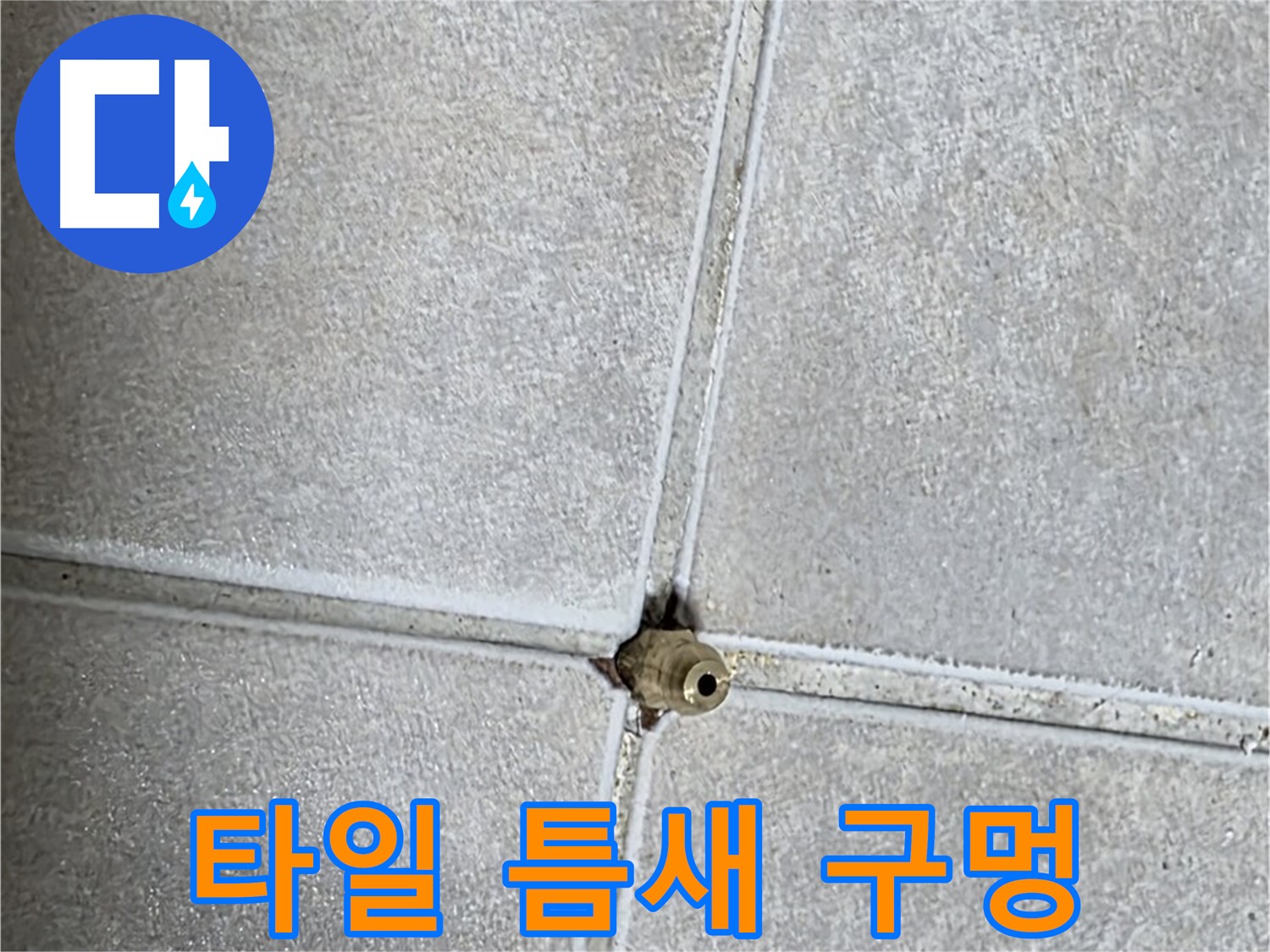 양주 옥정동 율정마을 아파트 누수 - 타일 틈새에 뚫린 작은 구멍, 누수 탐지의 시작을 알립니다.