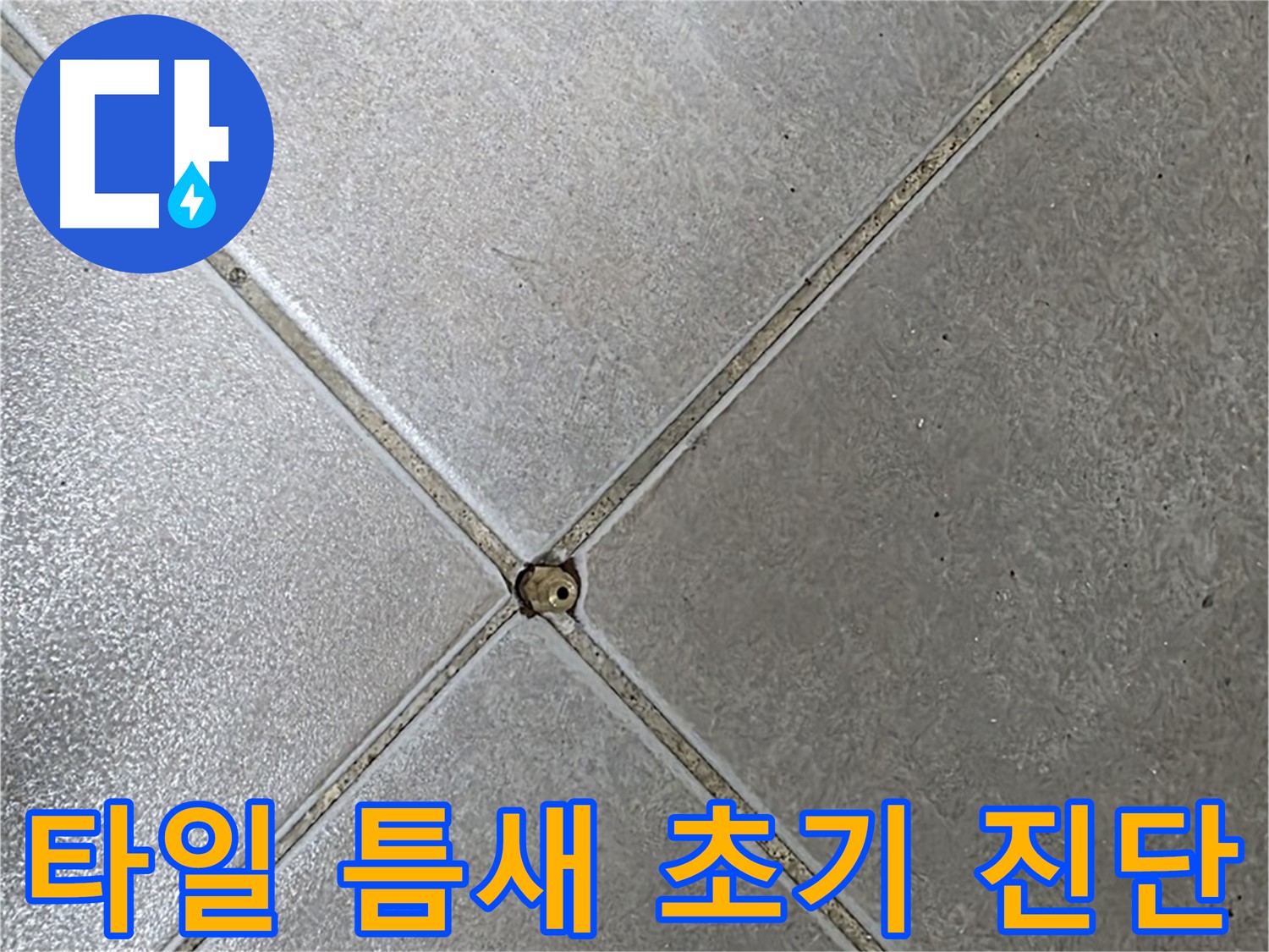 양주시 옥정동 율정마을 13단지 아파트 타일 틈새 오염 - 전문가의 초기 진단 모습입니다.