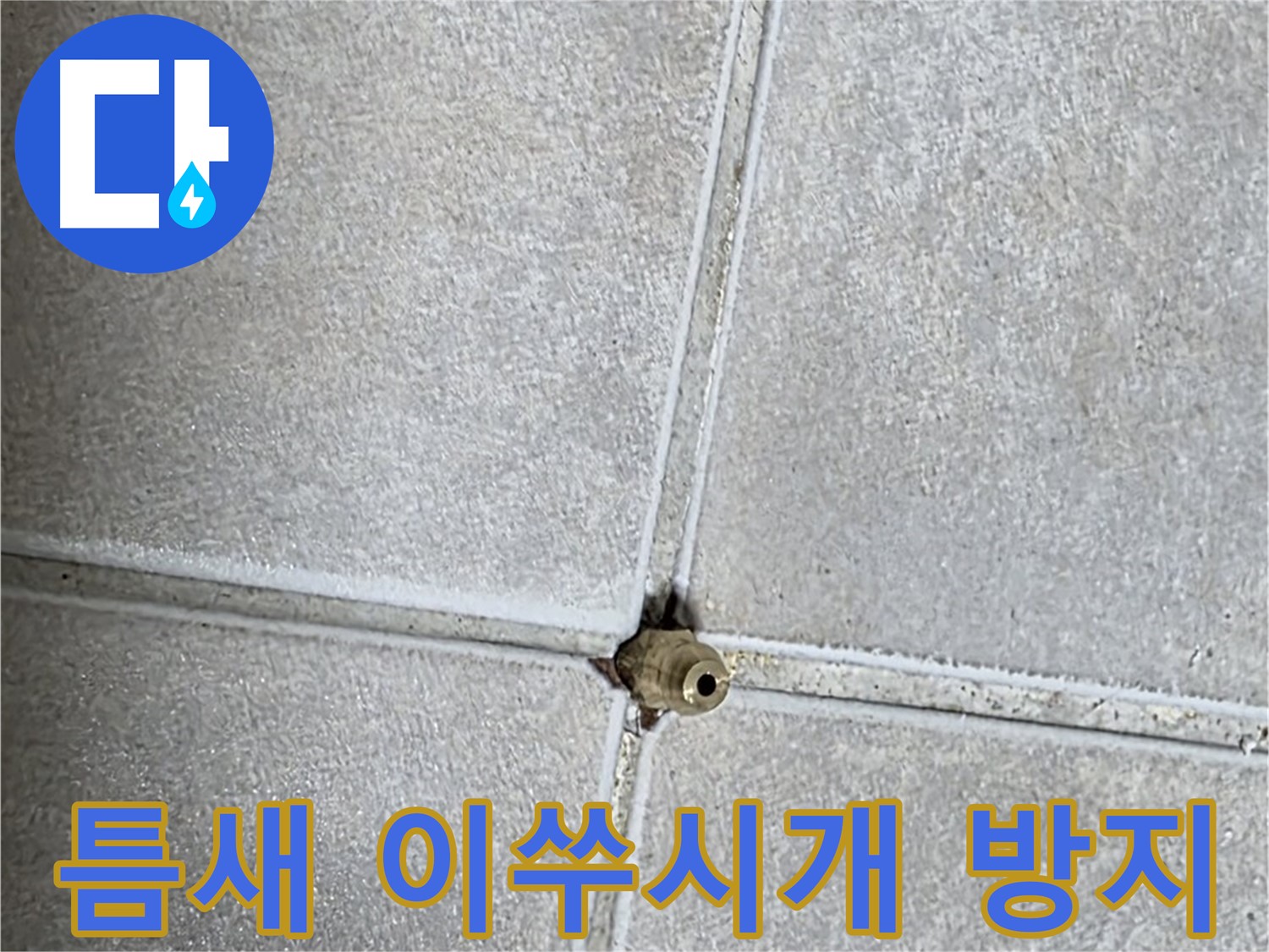 옥정 율정마을 아파트 누수 - 타일 틈새, 이쑤시개 하나 들어갈 틈도 용납하지 않는 완벽 시공!
