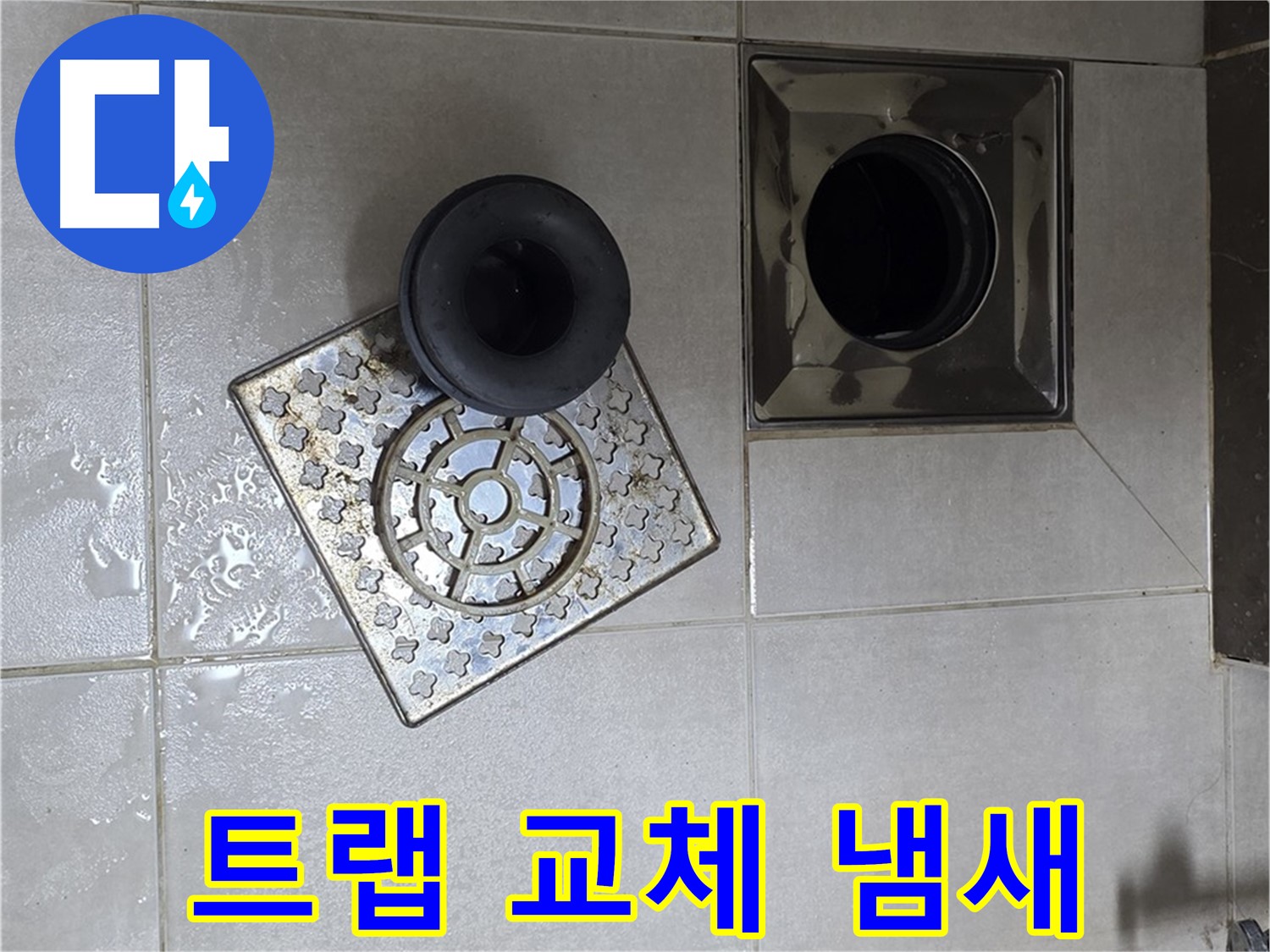 옥정 율정마을 아파트 욕실 배수구 트랩 교체 - 누수와 냄새를 동시에 해결