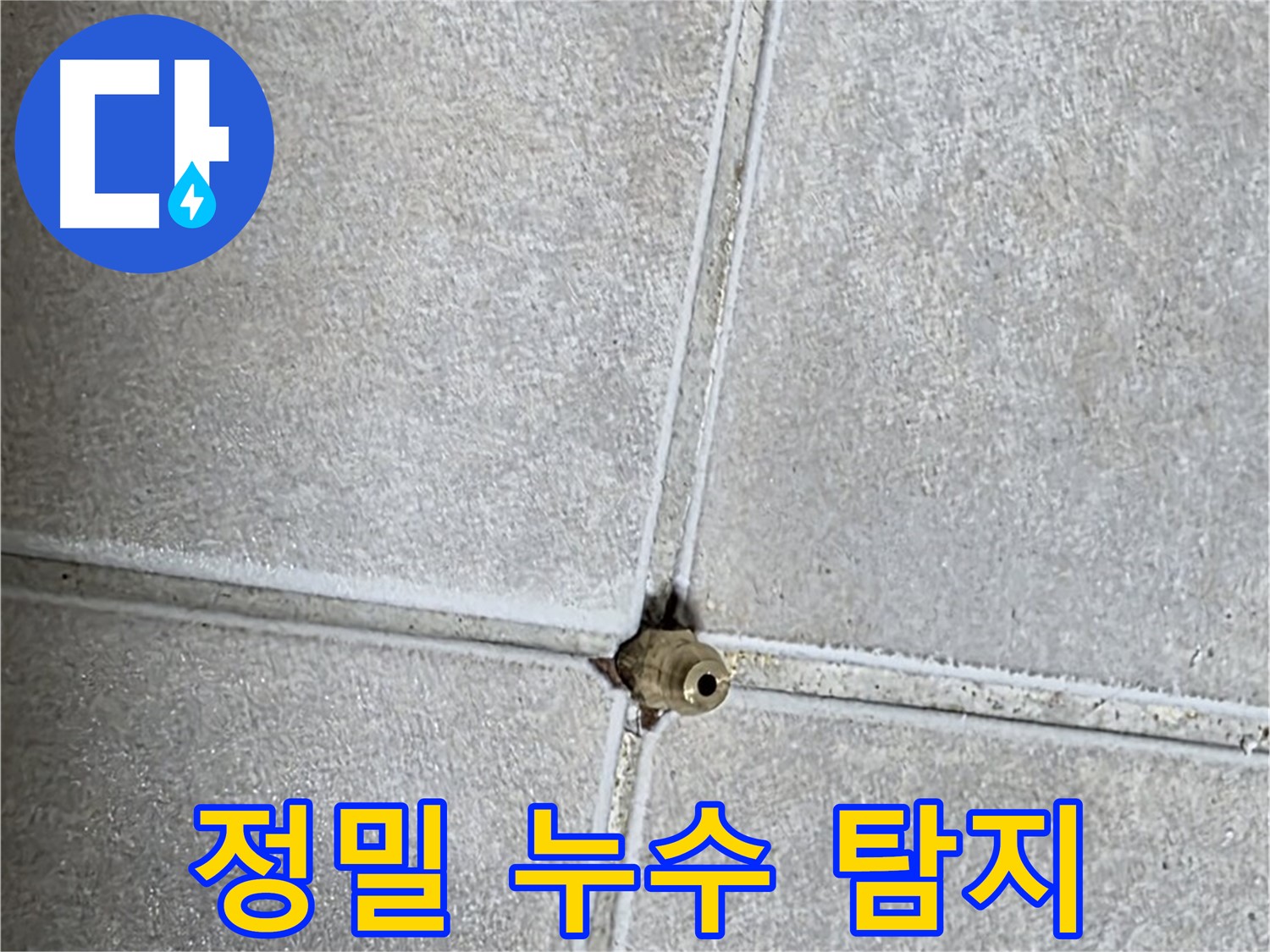 옥정 율정마을 아파트 화장실 누수 - 정밀 누수 탐지로 숨겨진 누수까지 완벽하게 찾아냅니다.