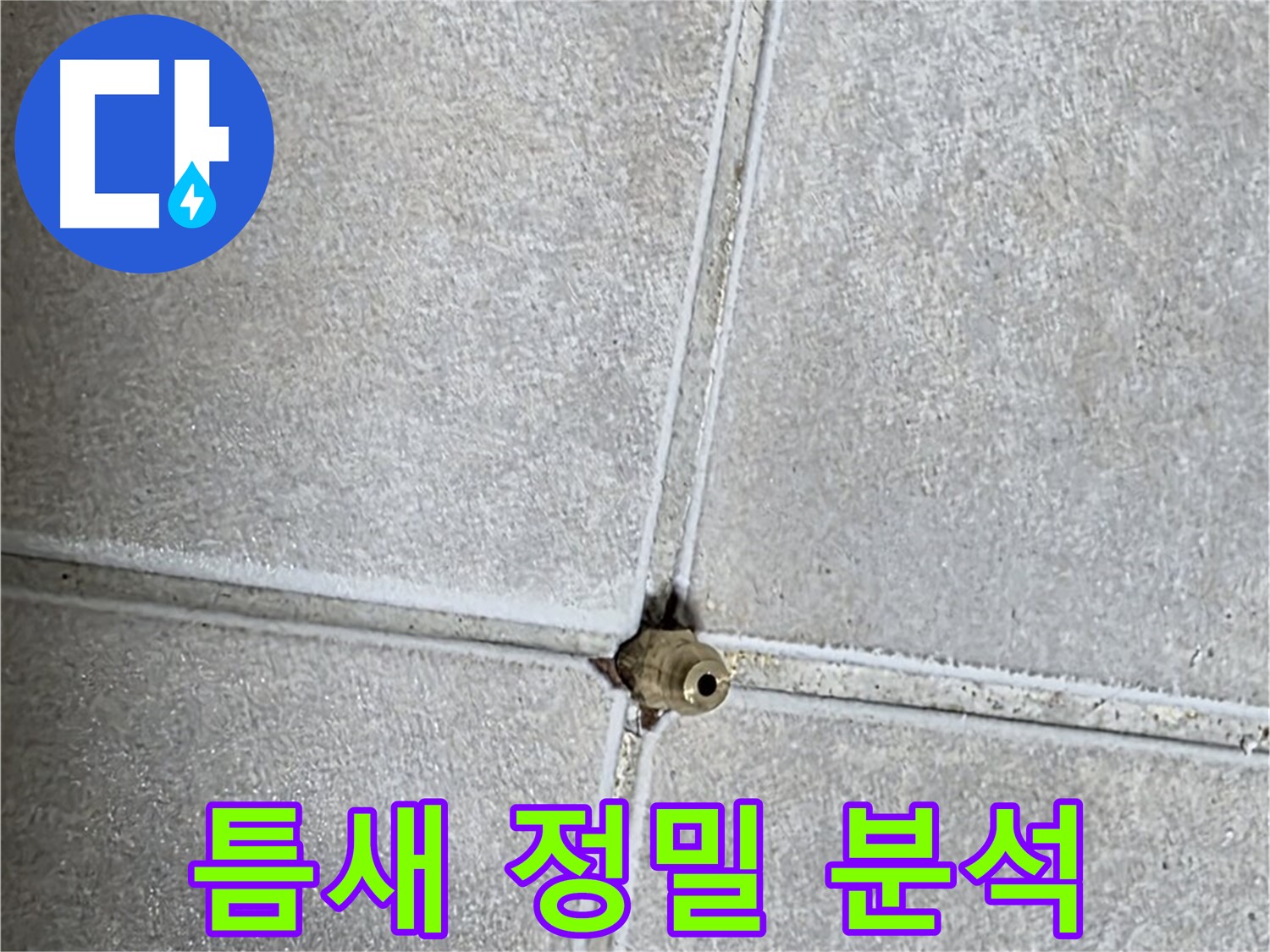 옥정 율정마을 아파트 화장실 누수 - 타일 틈새 누수를 정밀하게 분석하는 과정입니다.