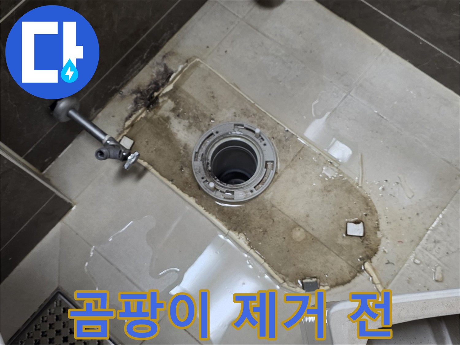 옥정동 율정마을 아파트 변기 누수 - 철거 후 배관 주변 곰팡이 제거 전 상태