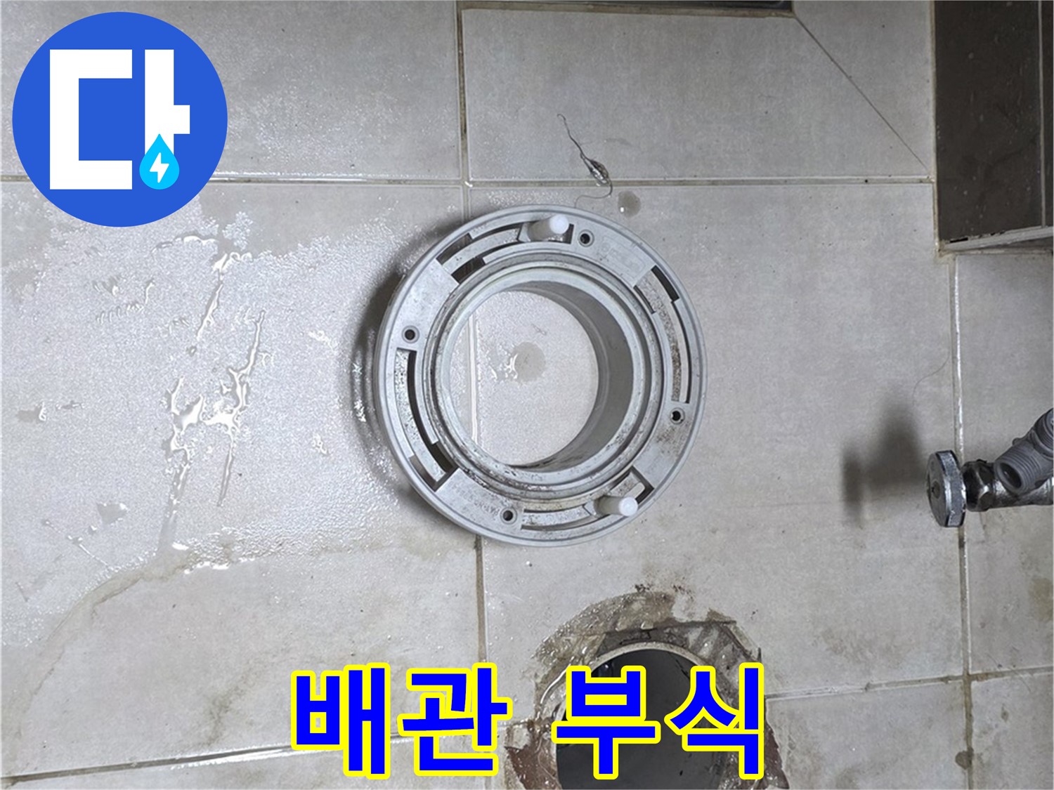 옥정동 율정마을 아파트 변기 하수구 누수 - 오래된 배관 부식 상태 확인