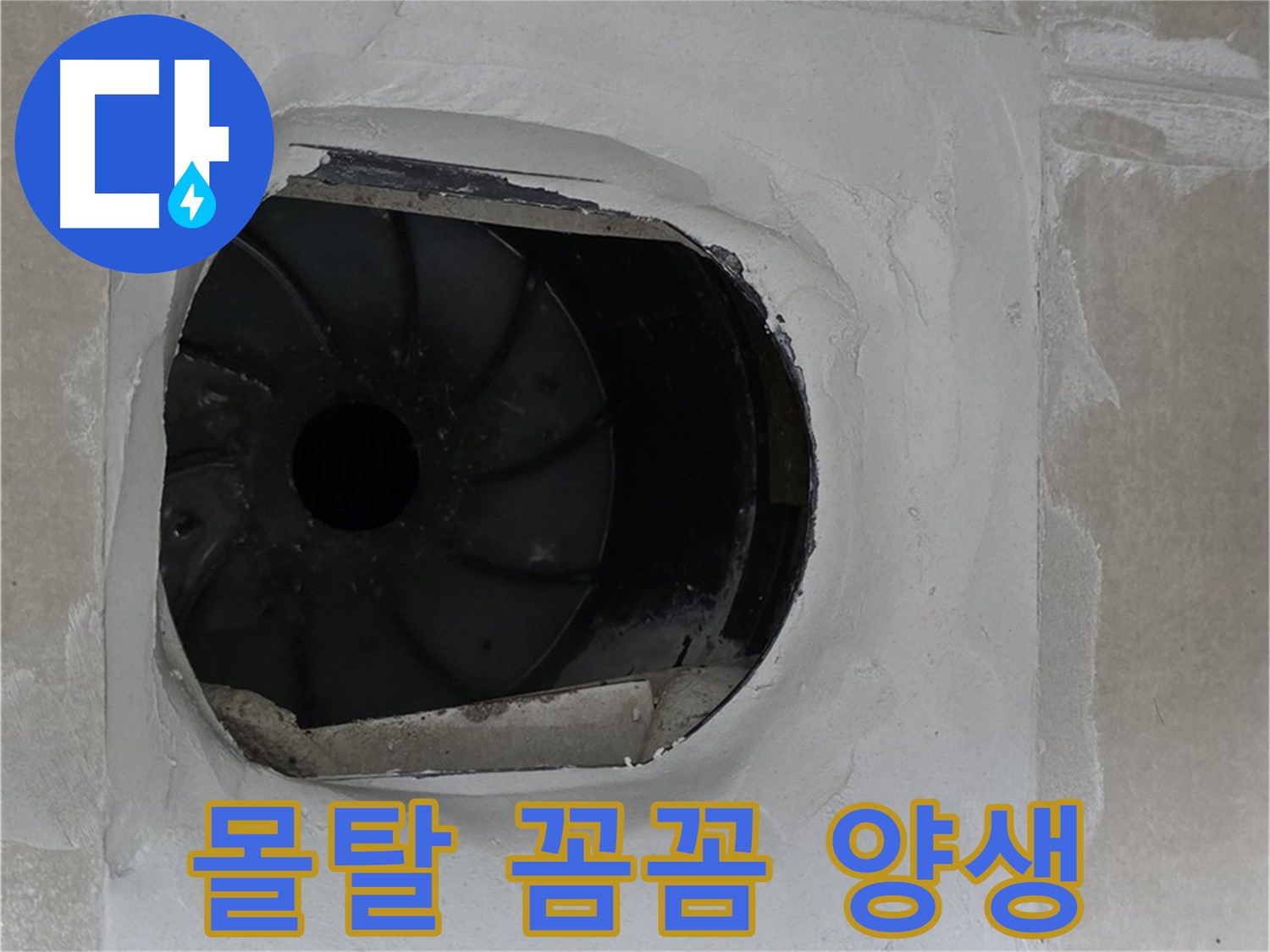 옥정동 율정마을 아파트 욕실 배수구 누수 해결 후 몰탈 꼼꼼하게 양생하는 모습입니다.