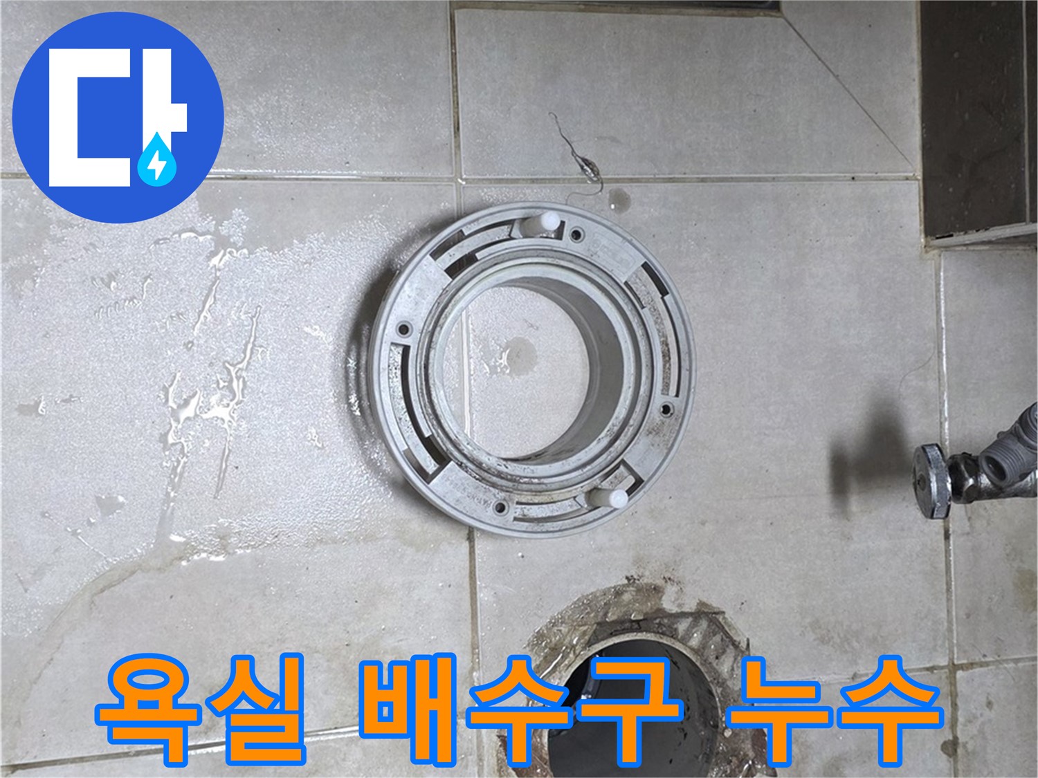 옥정동 율정마을 아파트 욕실 배수구 주변 누수 - 누수 문제 해결 전문가의 완벽 해결