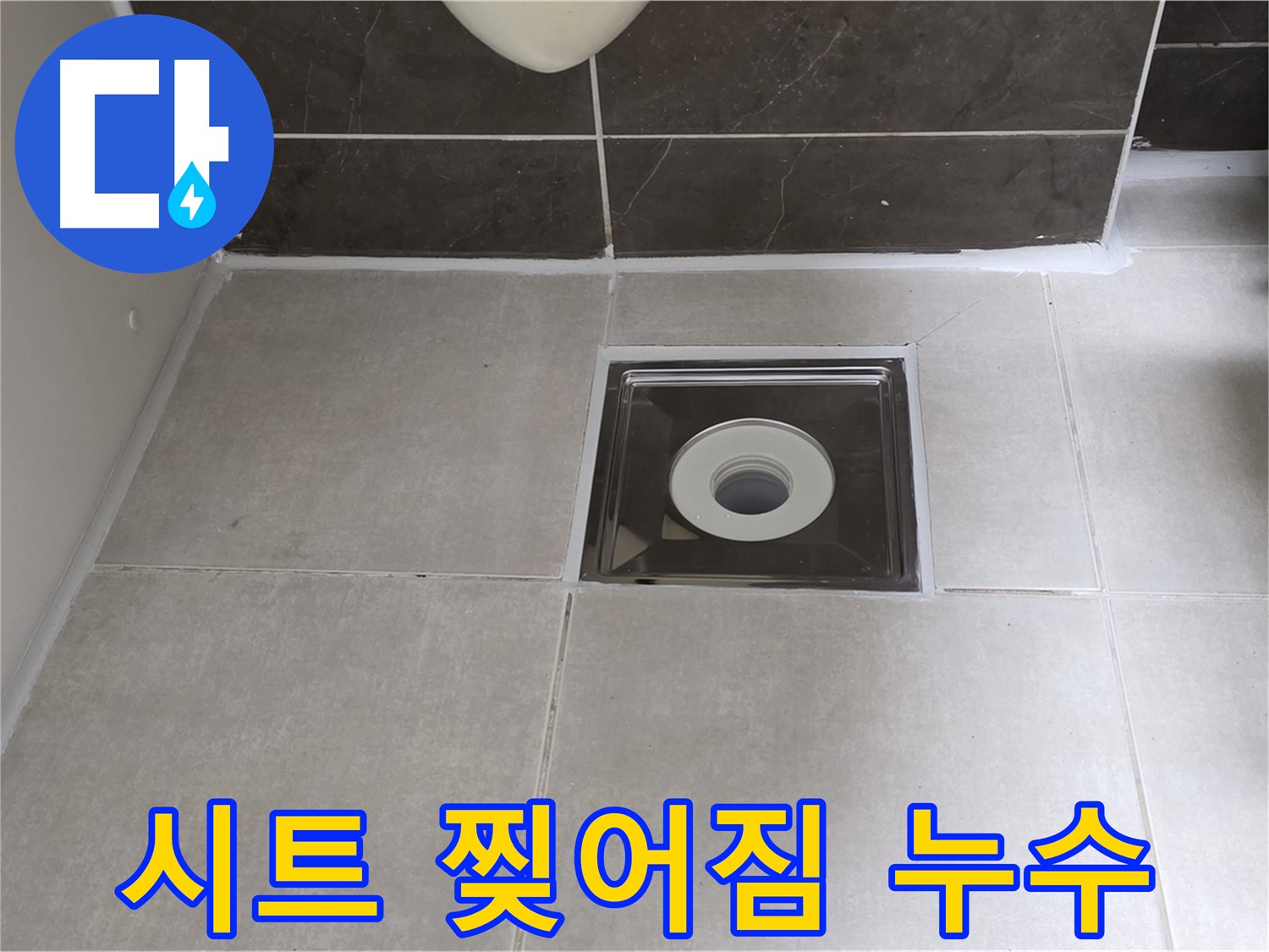 옥정동 율정마을 아파트 욕실 배수구 주변 방수 시트 찢어짐 누수 - 찢어진 시트 제거 후 재시공으로 완벽 방수!
