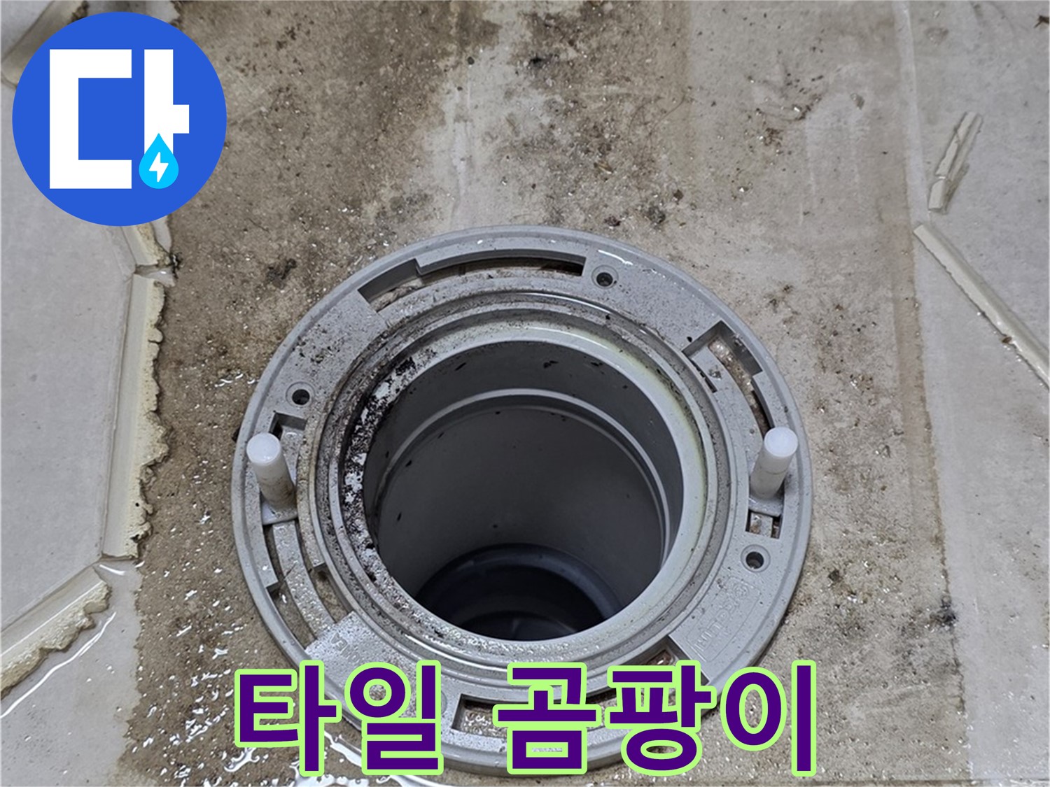 타일 틈새에 핀 곰팡이 - 누수로 인해 습기가 많아 곰팡이가 번식한 모습입니다.