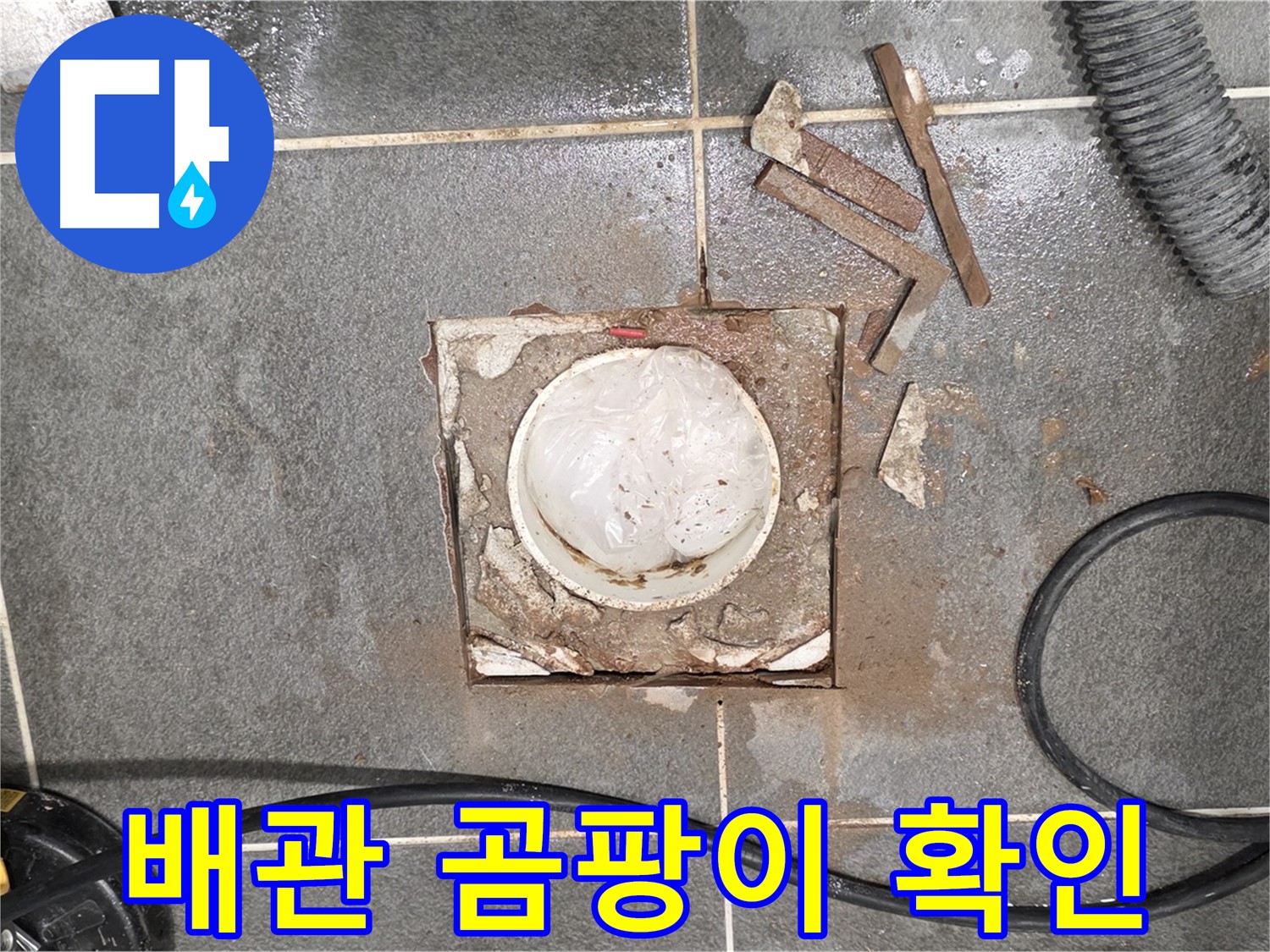 동패동 욕실 배수구 누수 - 타일 제거 후 배관 주변 곰팡이 발생 확인