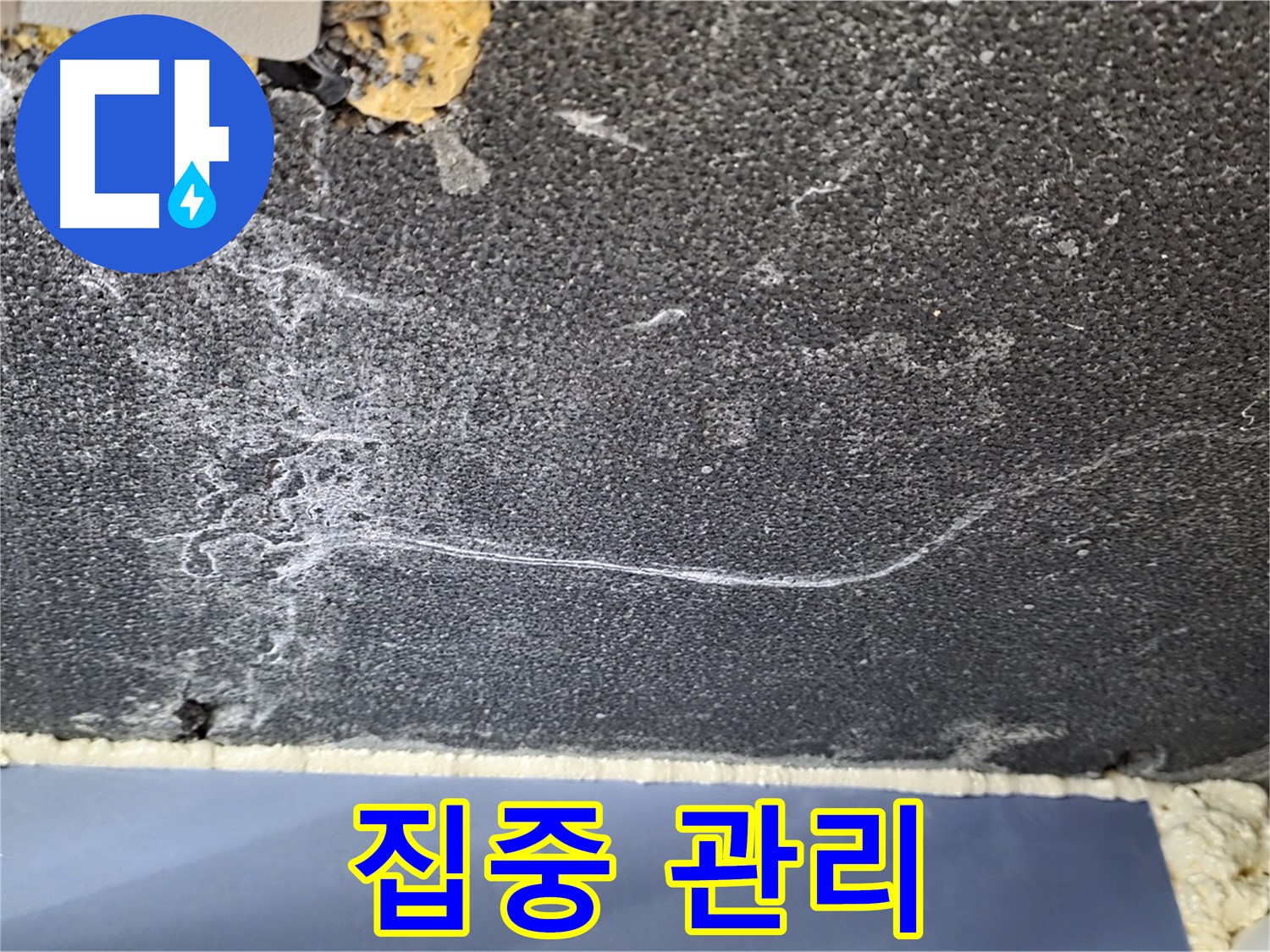 동패동 천장 누수 - 운정어반프라임 석회 부위 집중 관리