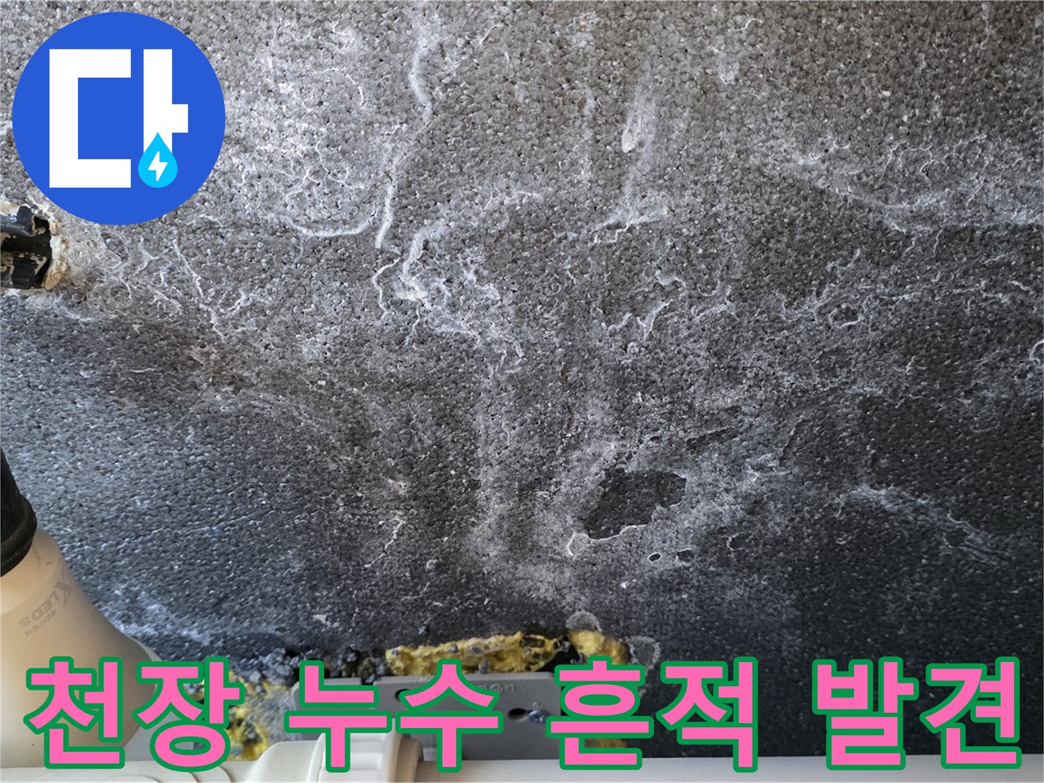 운정 어반프라임 천장 누수 흔적 - 누수 초기 발견의 중요성과 전문가의 진단 필요성