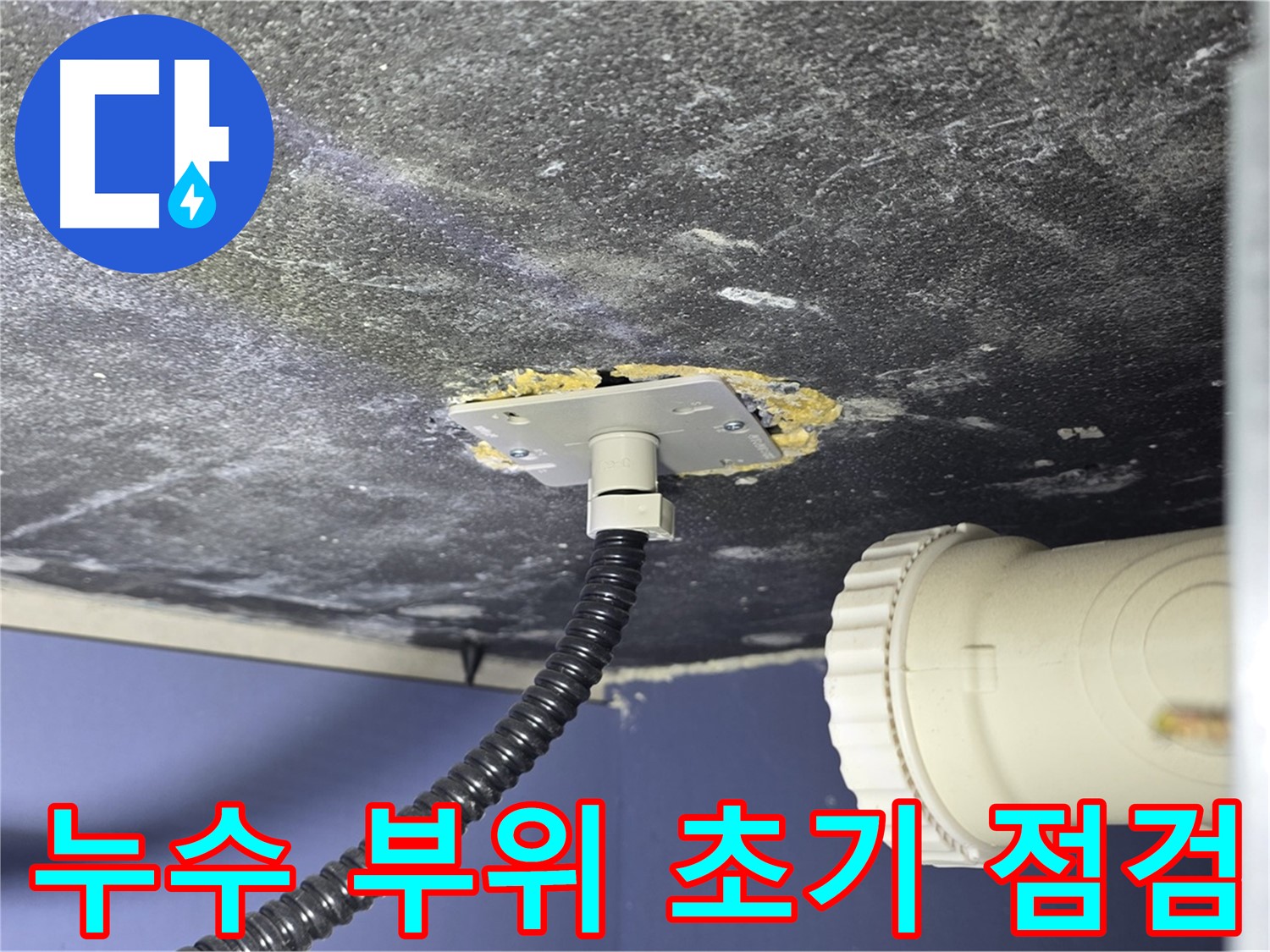 운정어반프라임 욕조 누수 - 누수 부위를 초기 점검하여 원인 파악