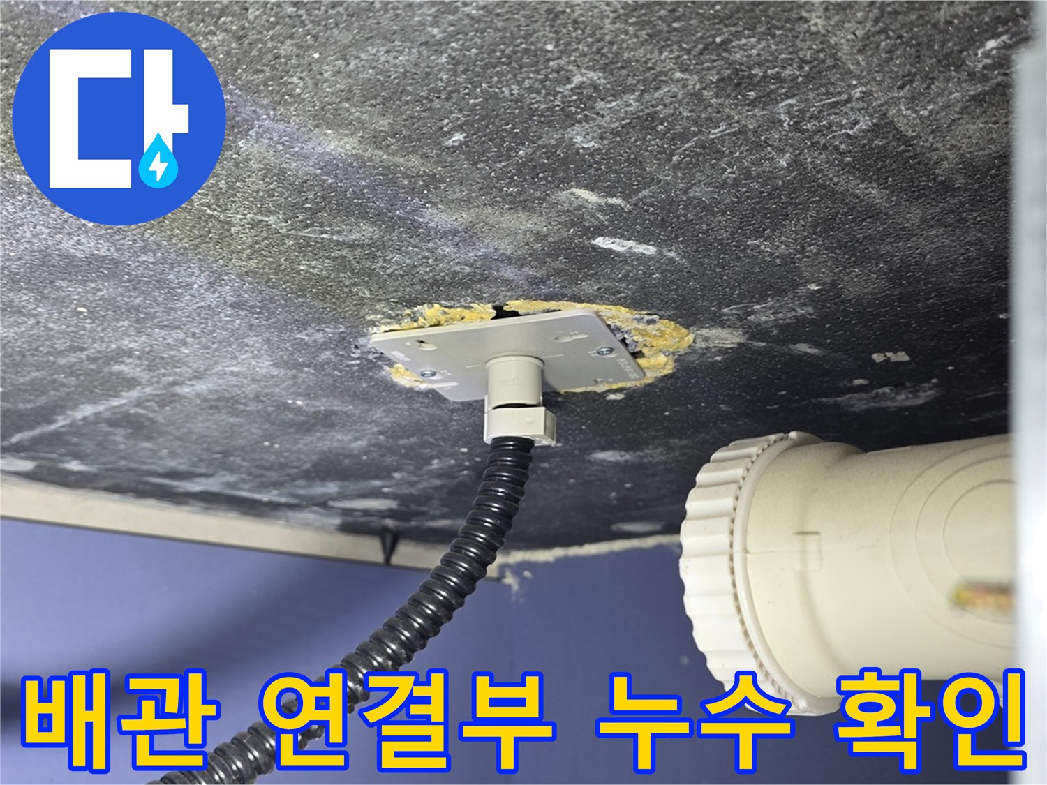 운정어반프라임 욕조 누수 - 배관 연결부에서 누수 지점을 확인하는 모습
