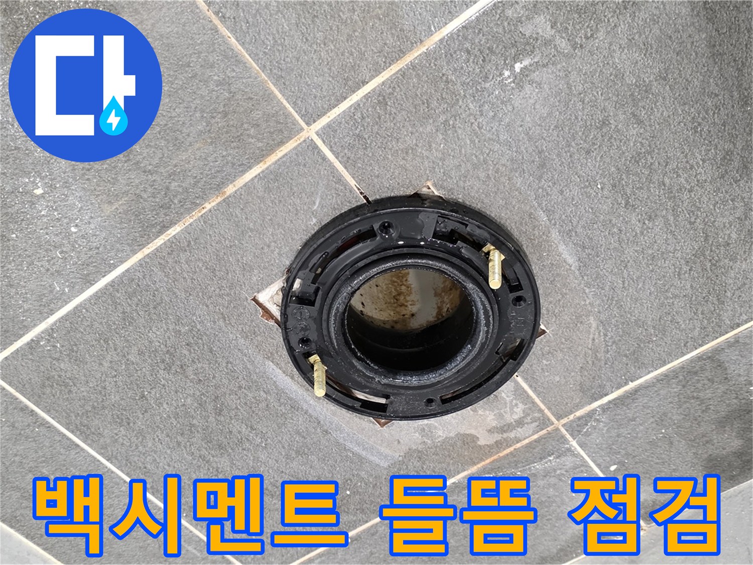 운정에서 변기 하부 백시멘트 들뜸 현상을 점검하는 모습 - 누수 신호일 수 있으므로 꼼꼼한 확인이 필요합니다.