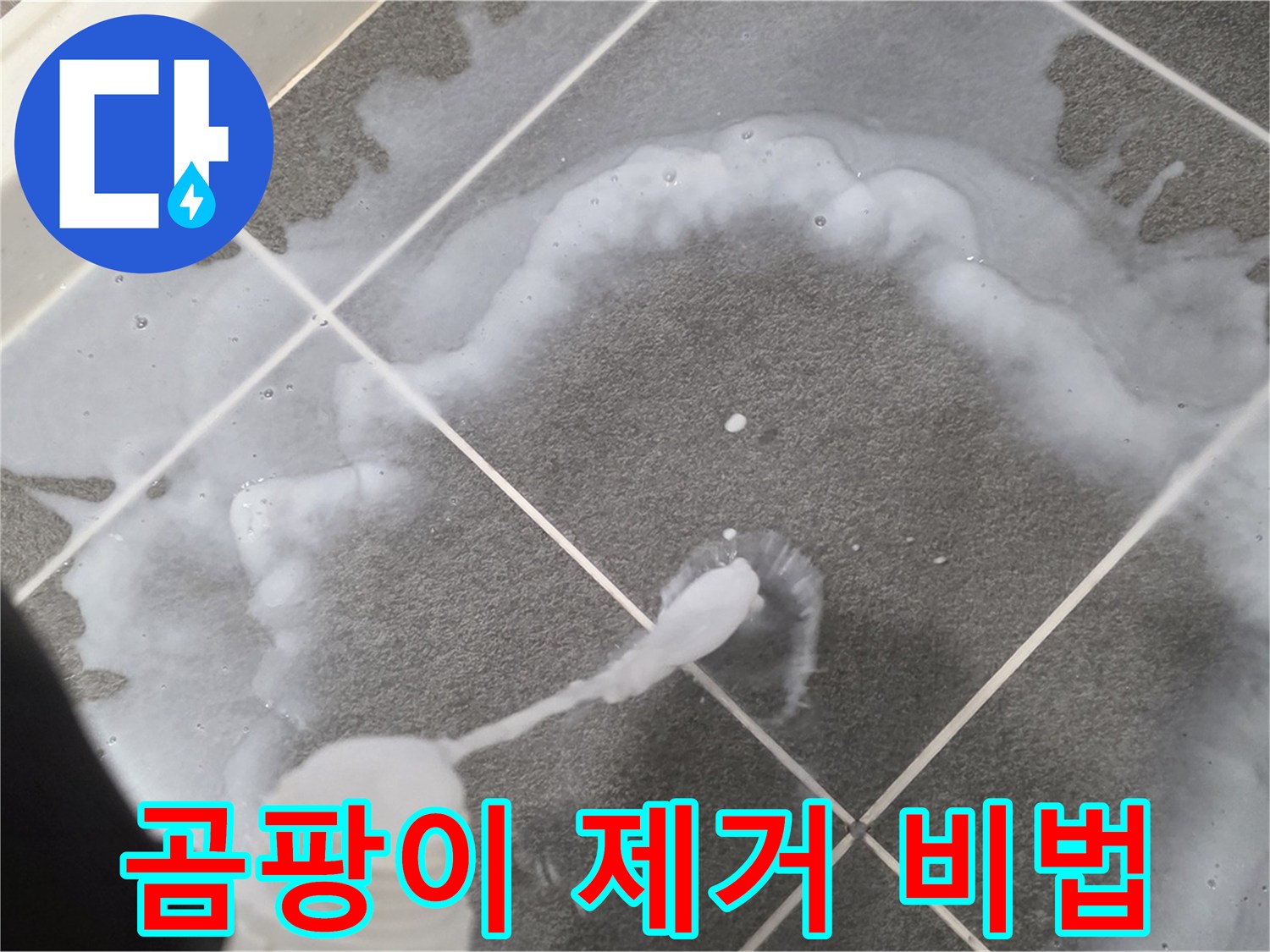 파주 동패동 아파트 욕실 - 곰팡이 완벽 제거 비법 공개!